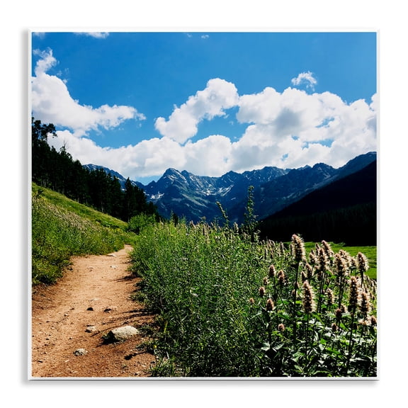 Stupell Industries Lovely Path with Clouds Landscape & Nature Photography Unframed Art Print Wall Art, 12 x 12