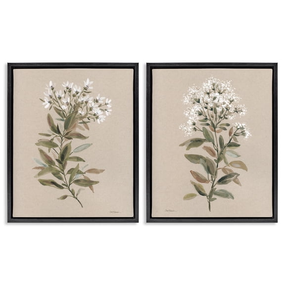 Stupell Industries Lovely White Floral Stem Plants & Flowers Painting Black Floater Framed Canvas Art Print Wall Art, 31 x 25, Set of 2
