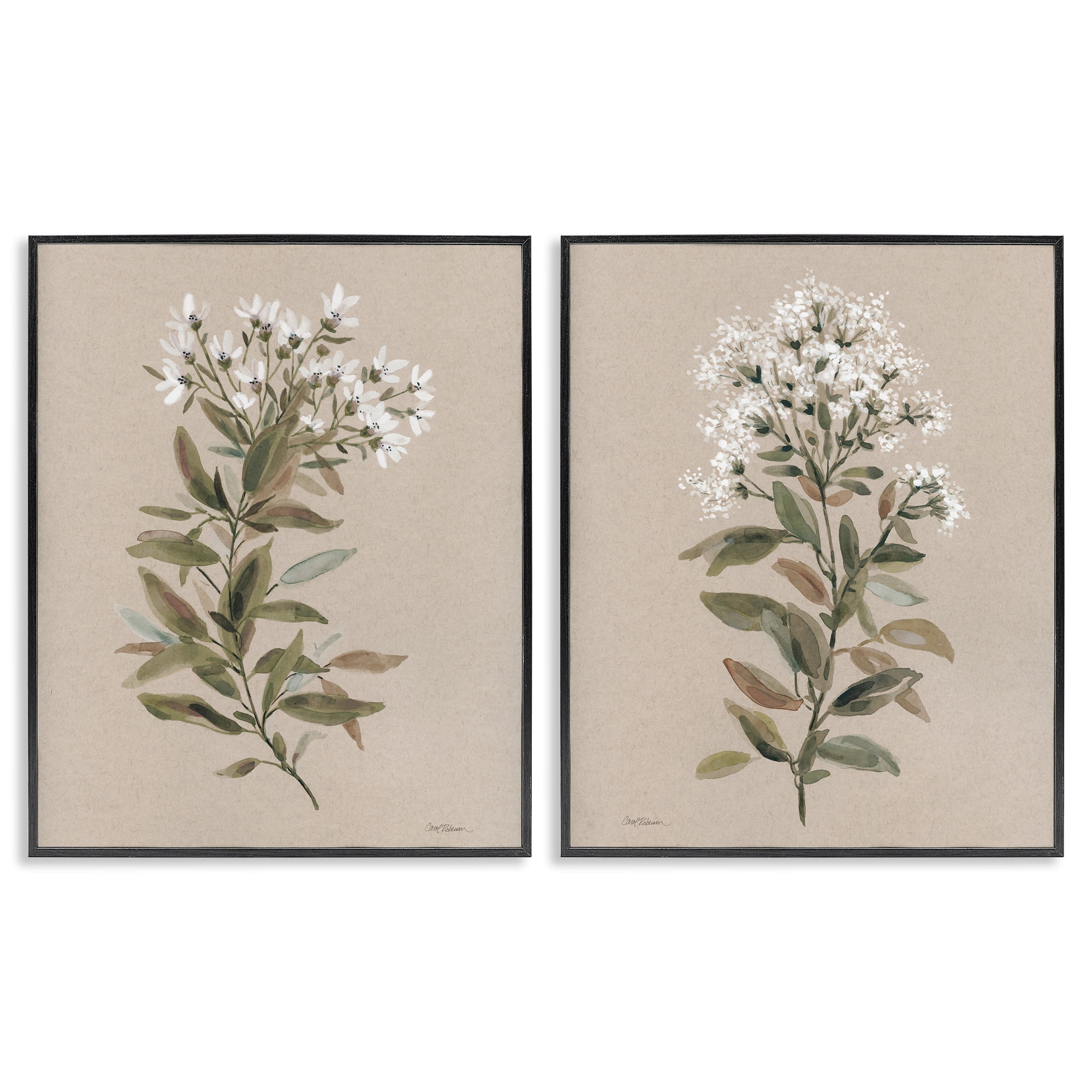 Stupell Industries Lovely White Floral Stem Plants & Flowers Painting Black Framed Art Print Wall Art, 24 x 30, Set of 2