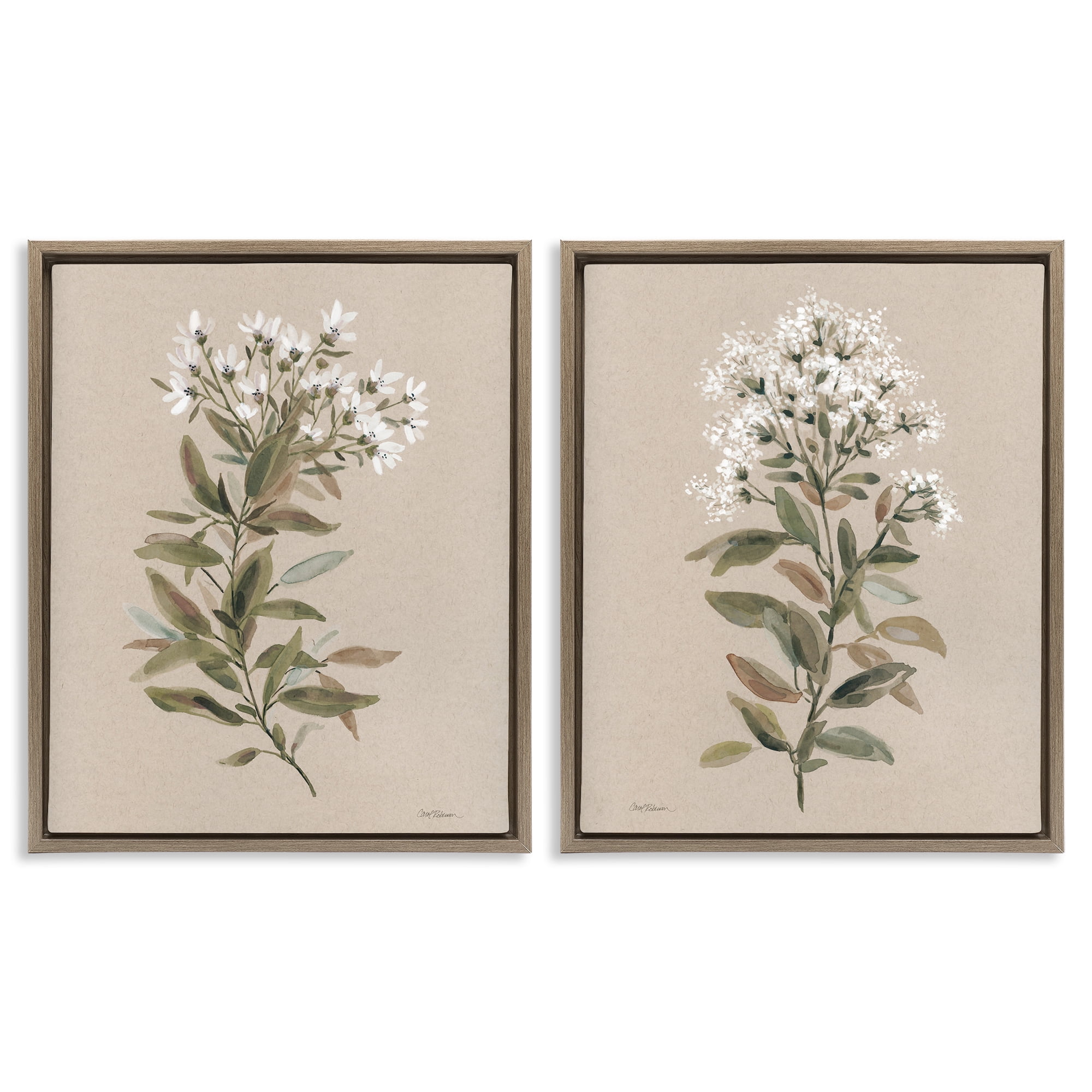 Stupell Industries Lovely White Floral Stem Plants & Flowers Painting Brown Floater Framed Canvas Art Print Wall Art, 17 x 21, Set of 2