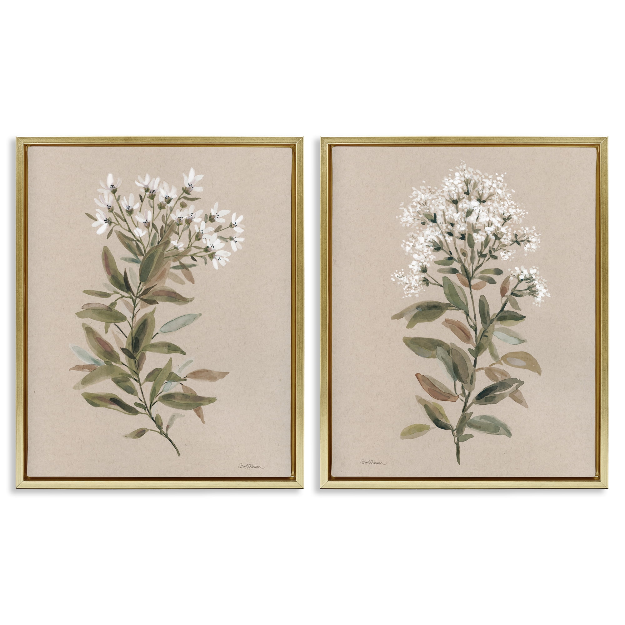 Stupell Industries Lovely White Floral Stem Plants & Flowers Painting Gold Floater Framed Canvas Art Print Wall Art, 17 x 21, Set of 2