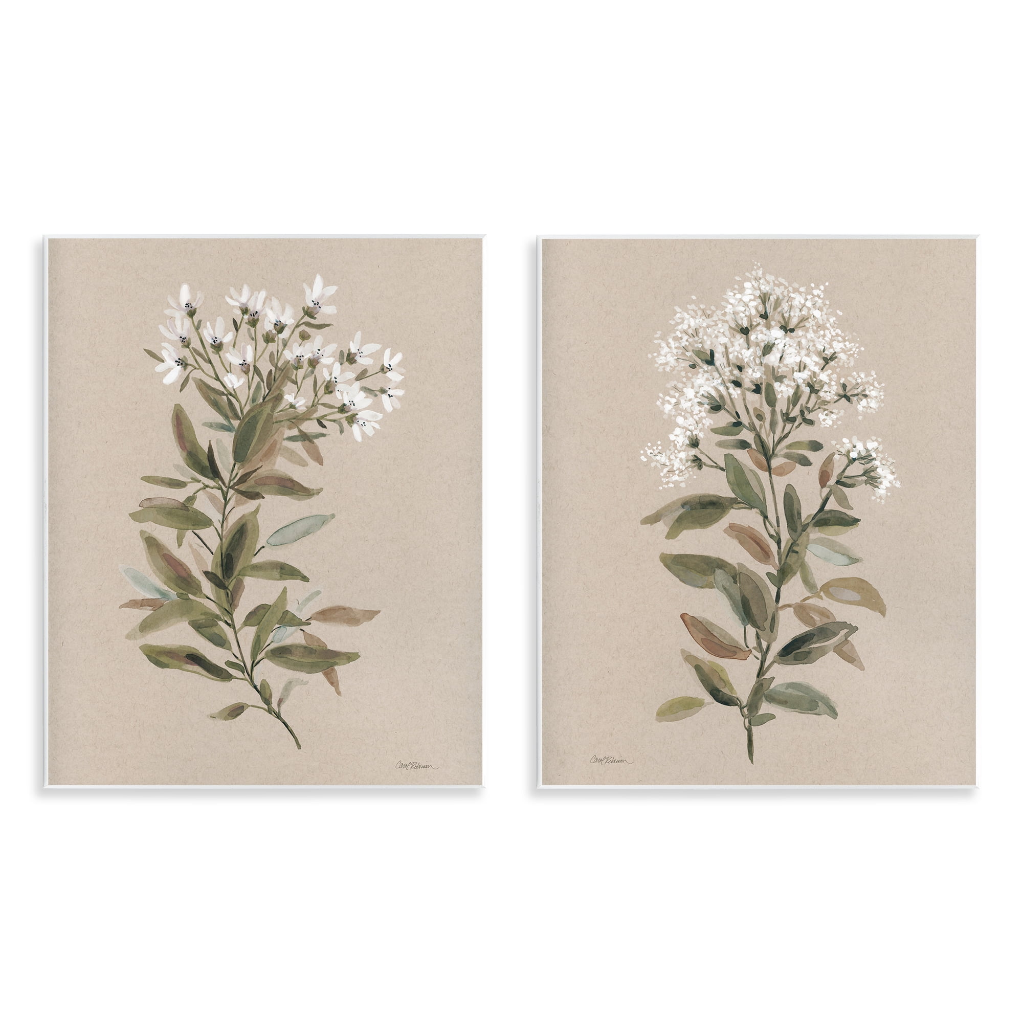 Stupell Industries Lovely White Floral Stem Plants & Flowers Painting Unframed Art Print Wall Art, 11 x 14, Set of 2