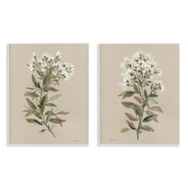 Stupell Industries Lovely White Floral Stem Plants & Flowers Painting Unframed Art Print Wall Art, 11 x 14, Set of 2
