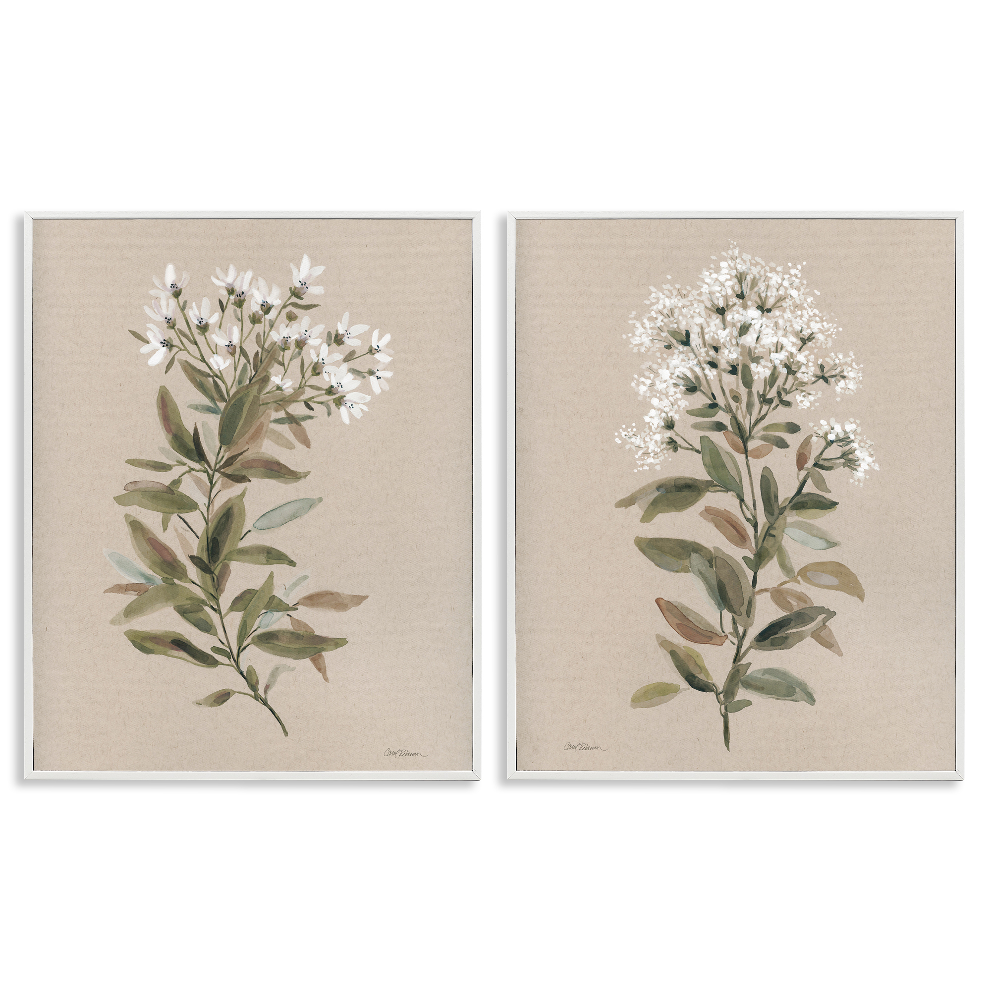 Stupell Industries Lovely White Floral Stem Plants & Flowers Painting White Framed Art Print Wall Art, 11 x 14, Set of 2