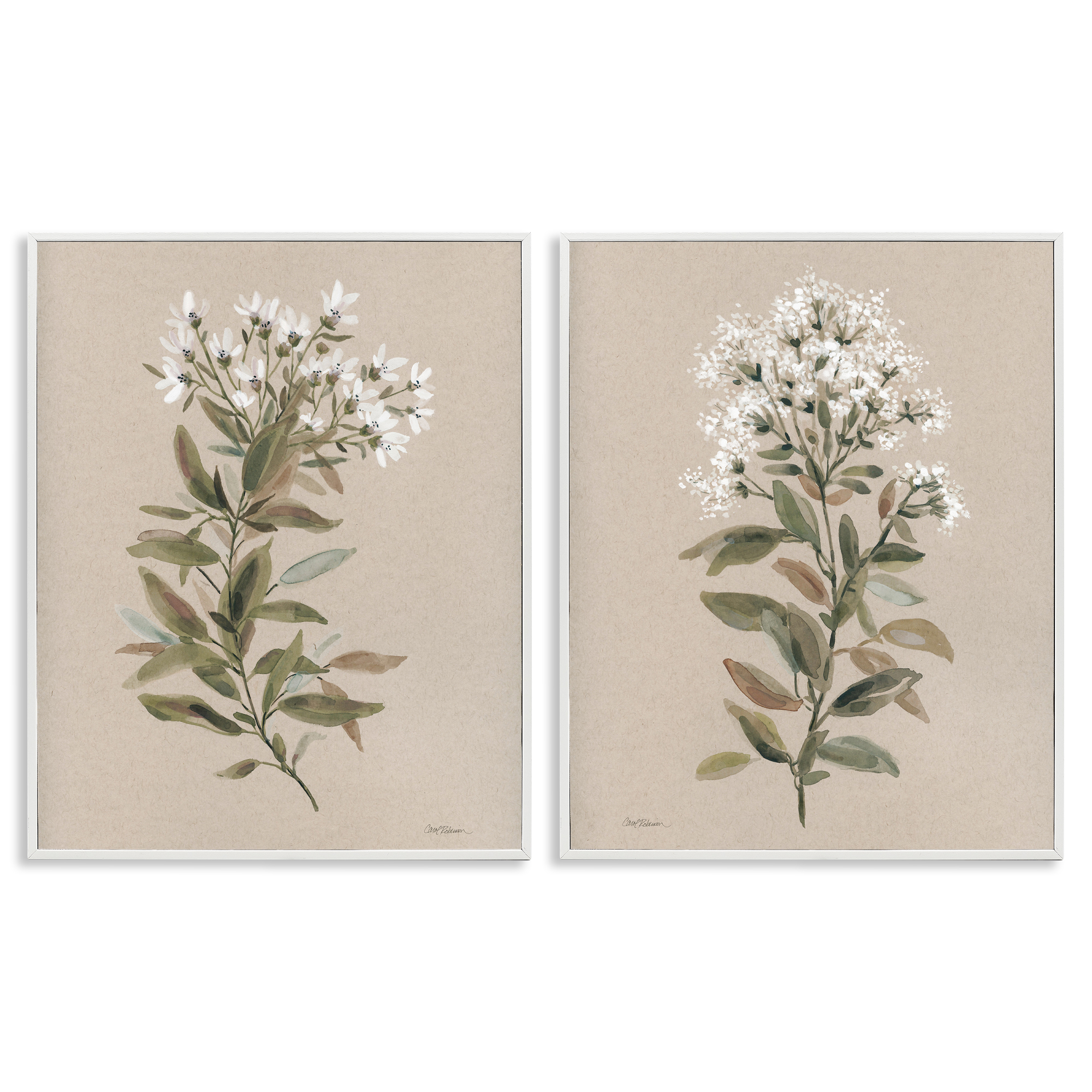 Stupell Industries Lovely White Floral Stem Plants & Flowers Painting White Framed Art Print Wall Art, 16 x 20, Set of 2