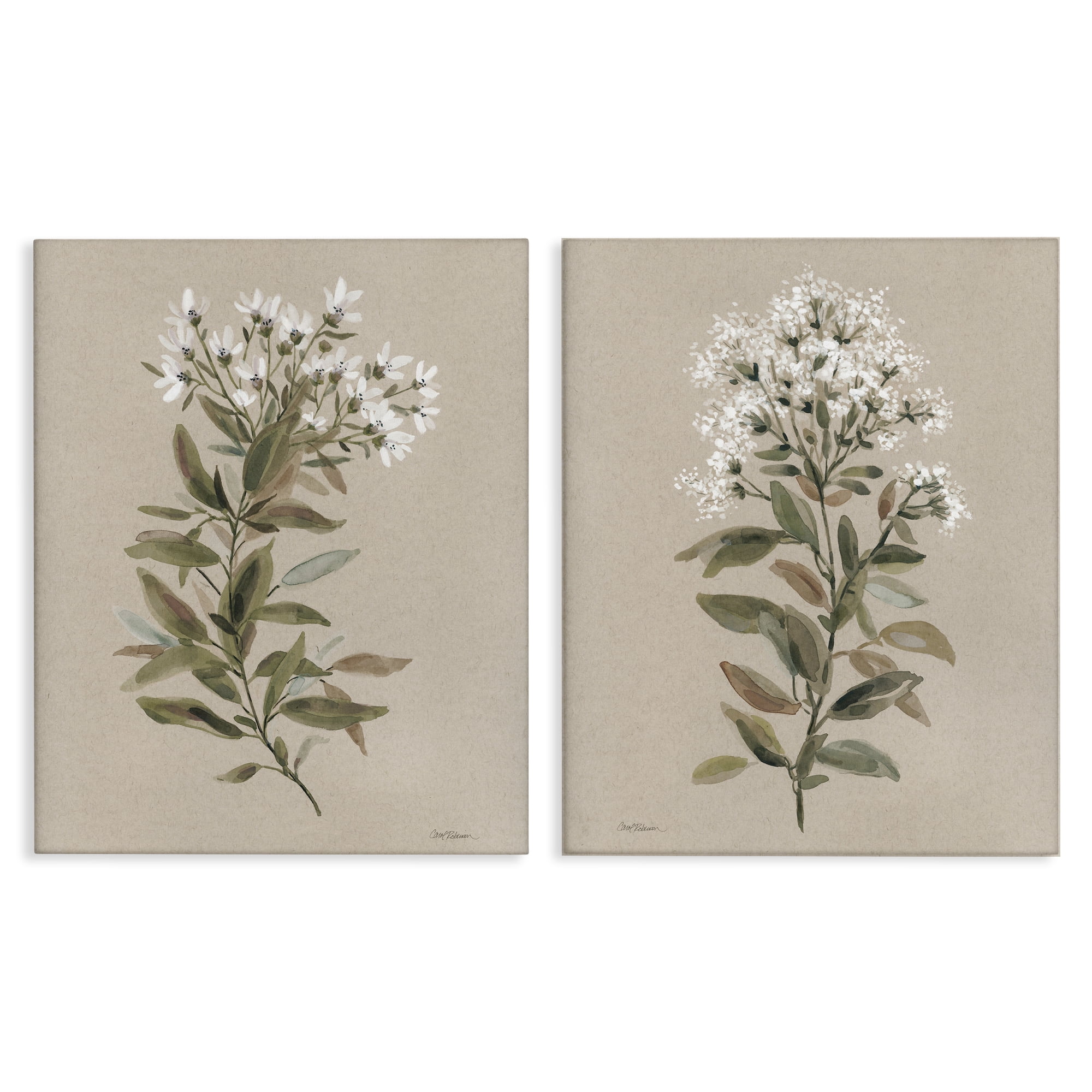 Stupell Industries Lovely White Floral Stem Plants & Flowers Painting Wrapped Canvas Art Print Wall Art, 24 x 30, Set of 2