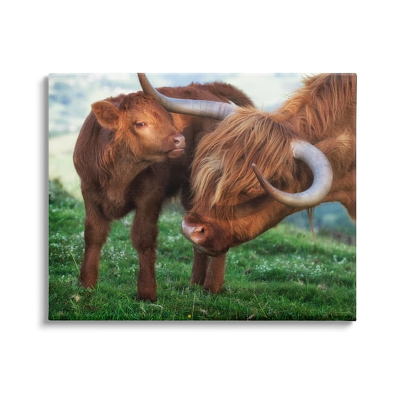 Stupell Industries Loving Longhorn Cattle Nuzzling Calf Heartwarming Animals Photograph Gallery Wrapped Canvas Print Wall Art, Design by James Dobson