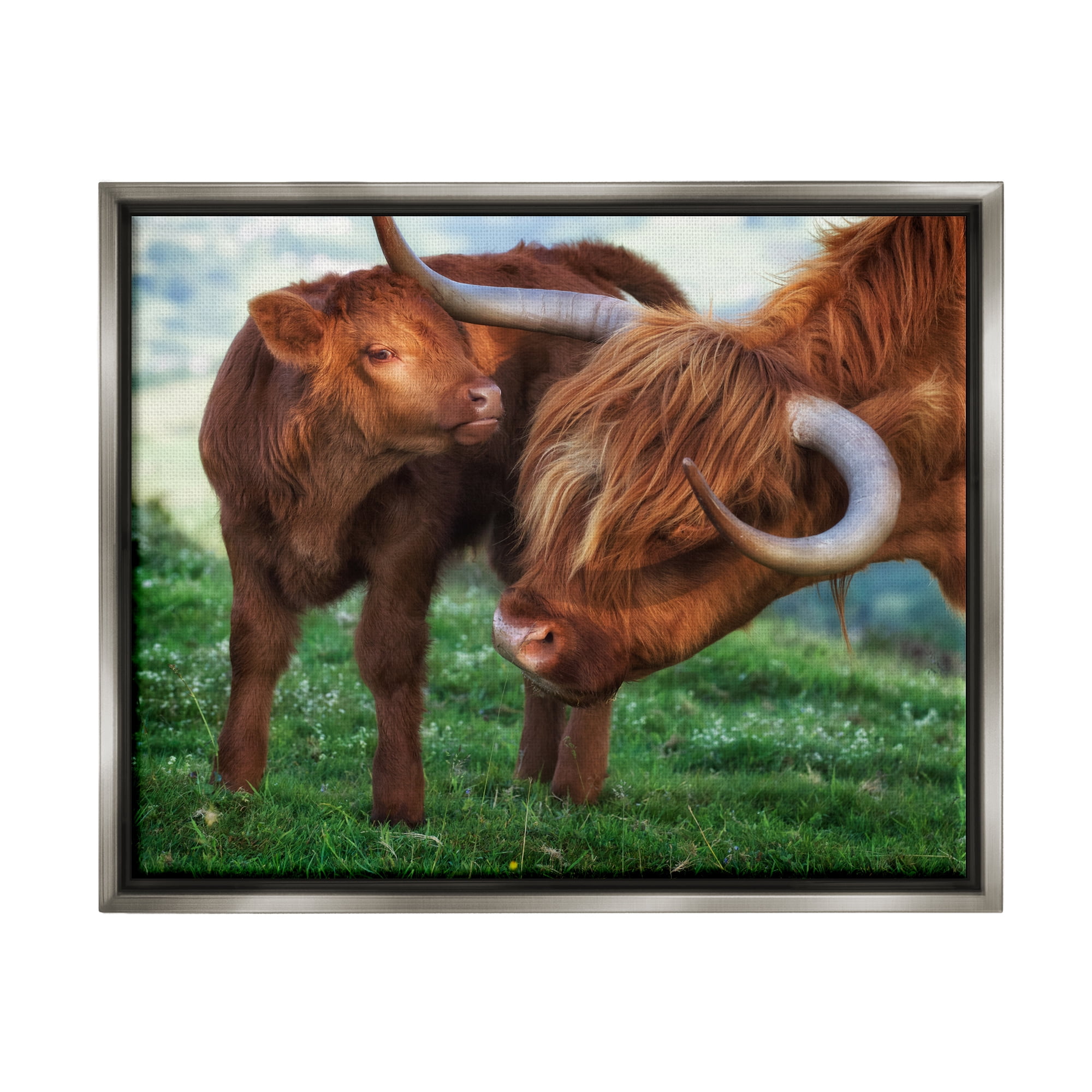 Stupell Industries Loving Longhorn Cattle Nuzzling Calf Heartwarming Animals Photograph Luster Gray Floating Framed Canvas Print Wall Art, Design by James Dobson