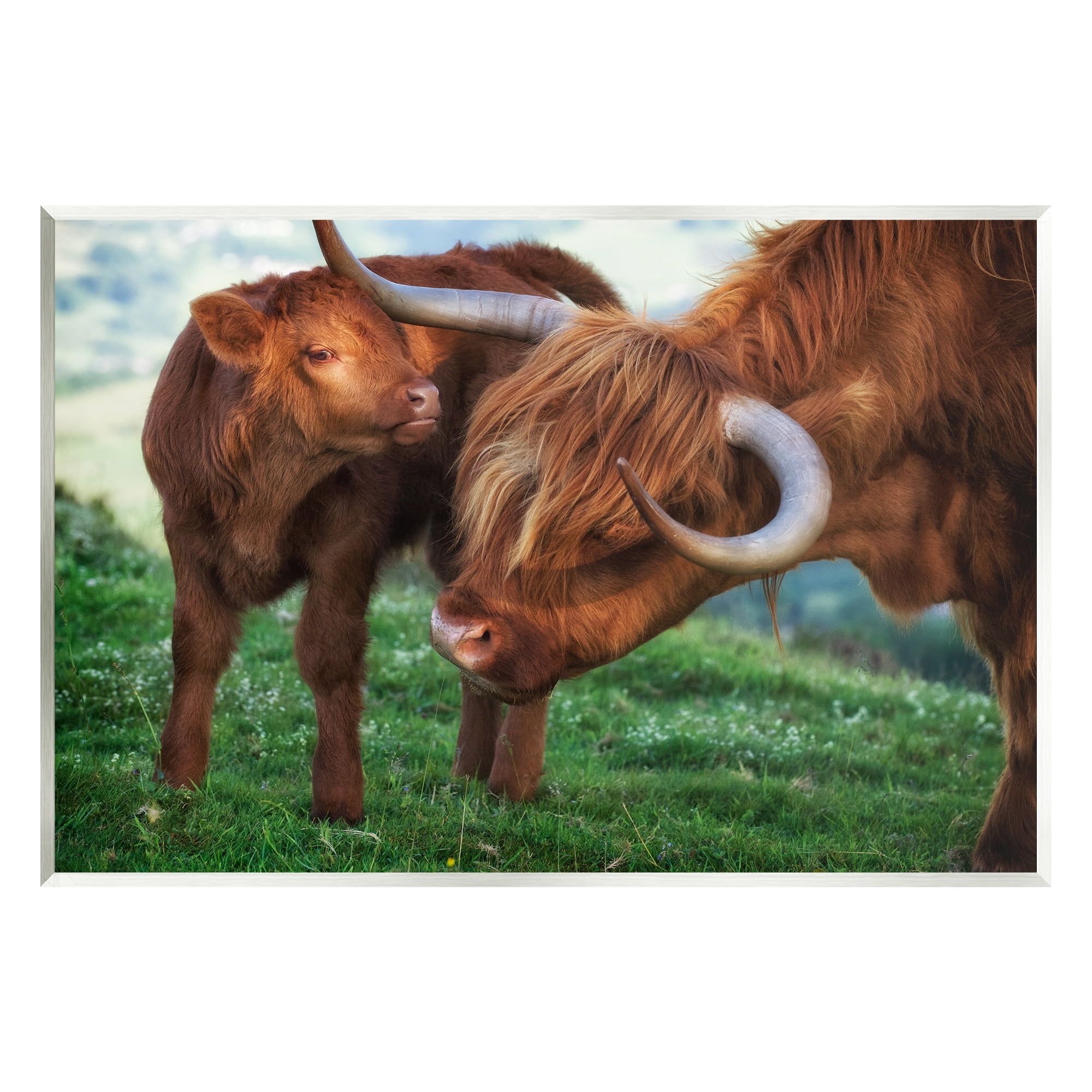 Stupell Industries Loving Longhorn Cattle Nuzzling Calf Heartwarming Animals Photograph Unframed Art Print Wall Art, Design by James Dobson