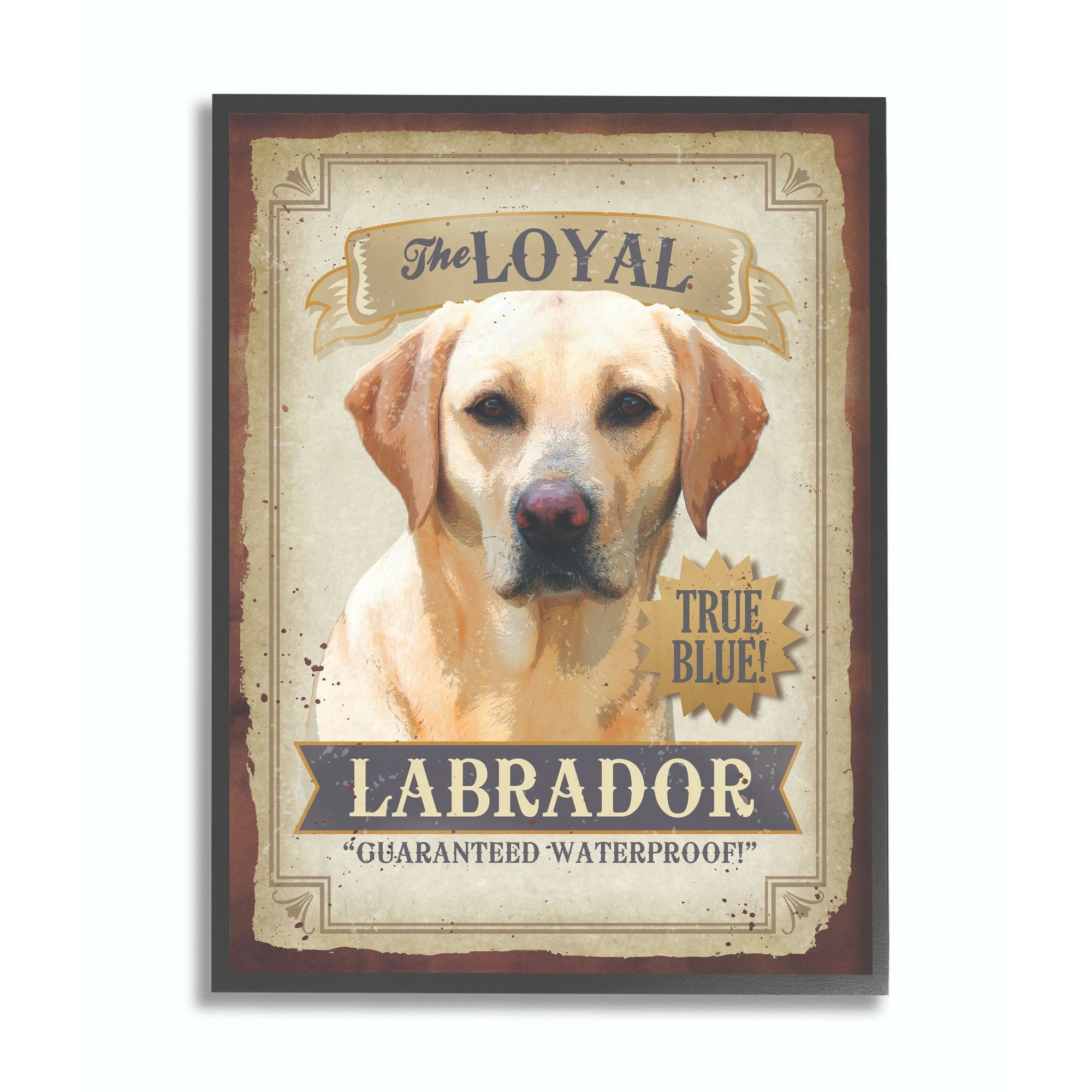 Stupell Industries Loyal Labrador Pet Dog Vintage Poster Design Framed Wall Art by Retrorocket Studio