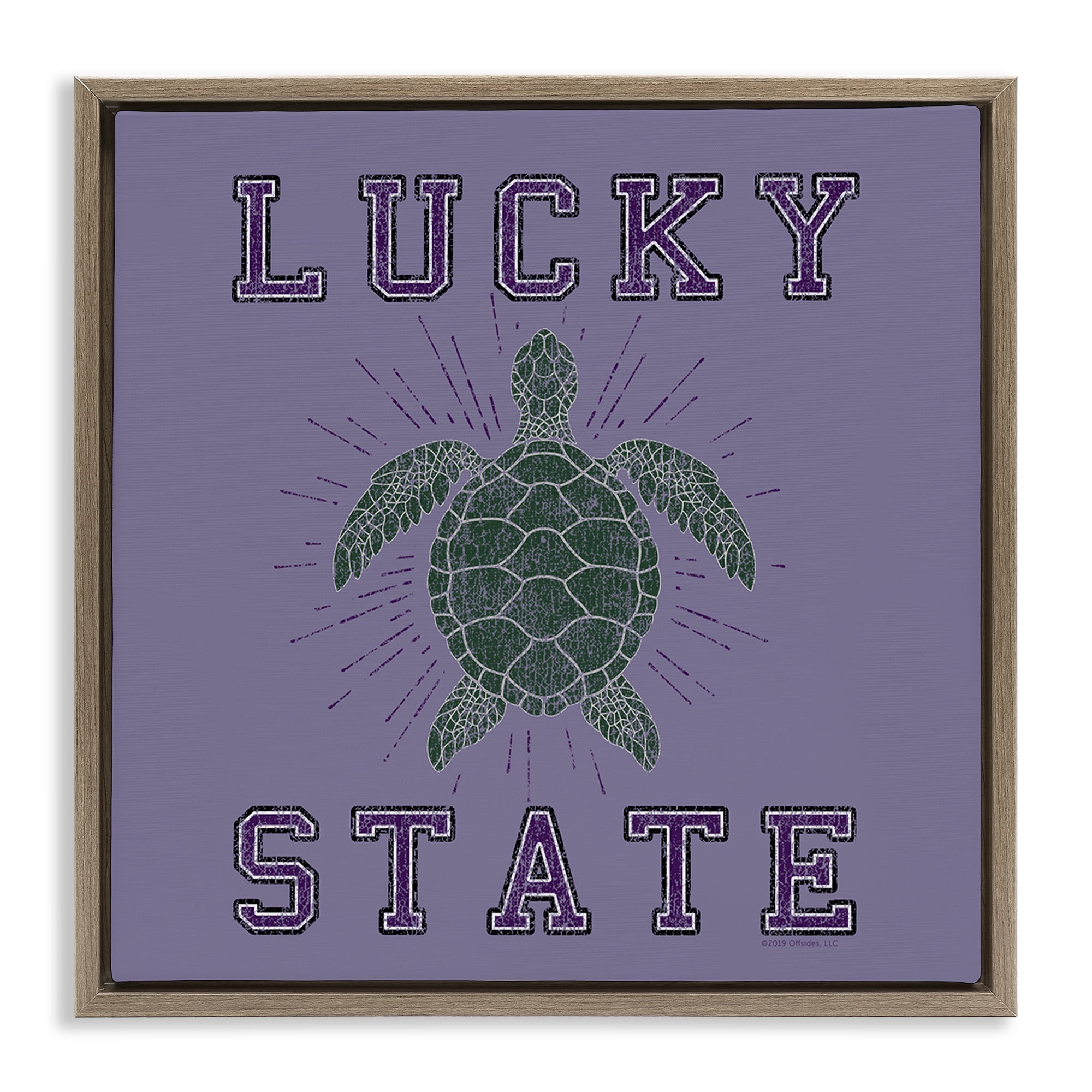 Stupell Industries Lucky Sea Turtle State Animals Painting Brown Floater Framed Canvas Art Print Wall Art, 18 x 18