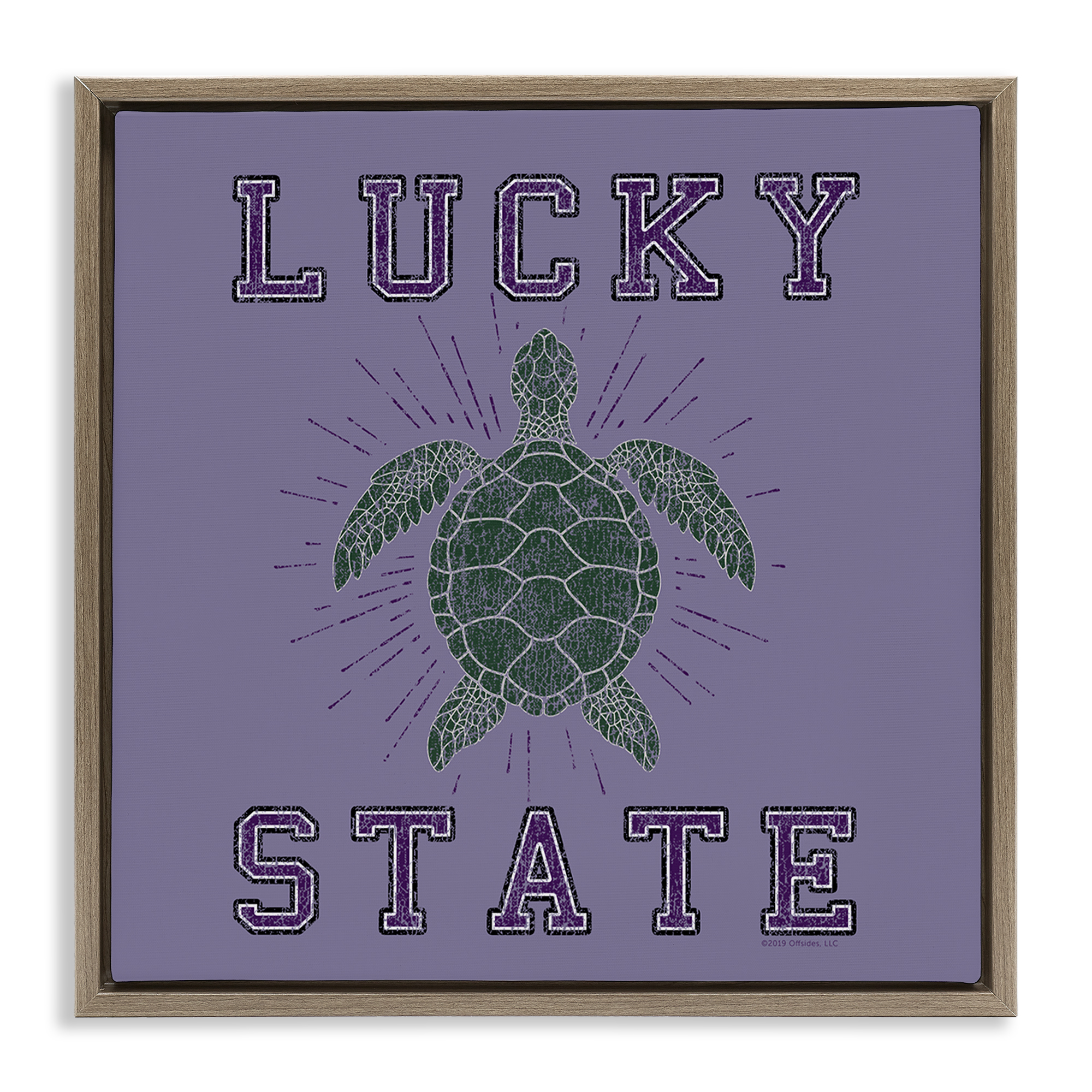 Stupell Industries Lucky Sea Turtle State Animals Painting Brown Floater Framed Canvas Art Print Wall Art, 25 x 25