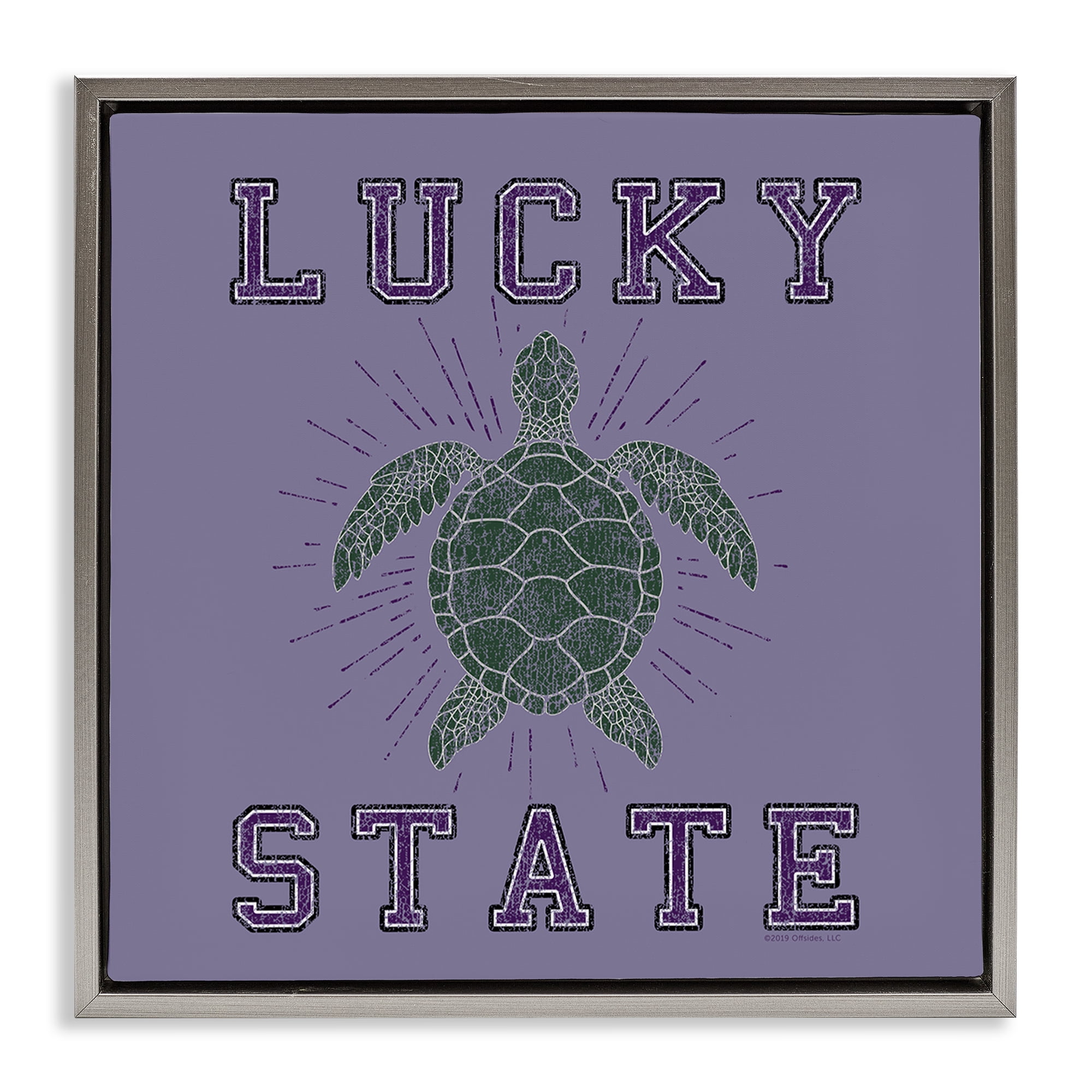 Stupell Industries Lucky Sea Turtle State Animals Painting Gray Floater Framed Canvas Art Print Wall Art, 18 x 18