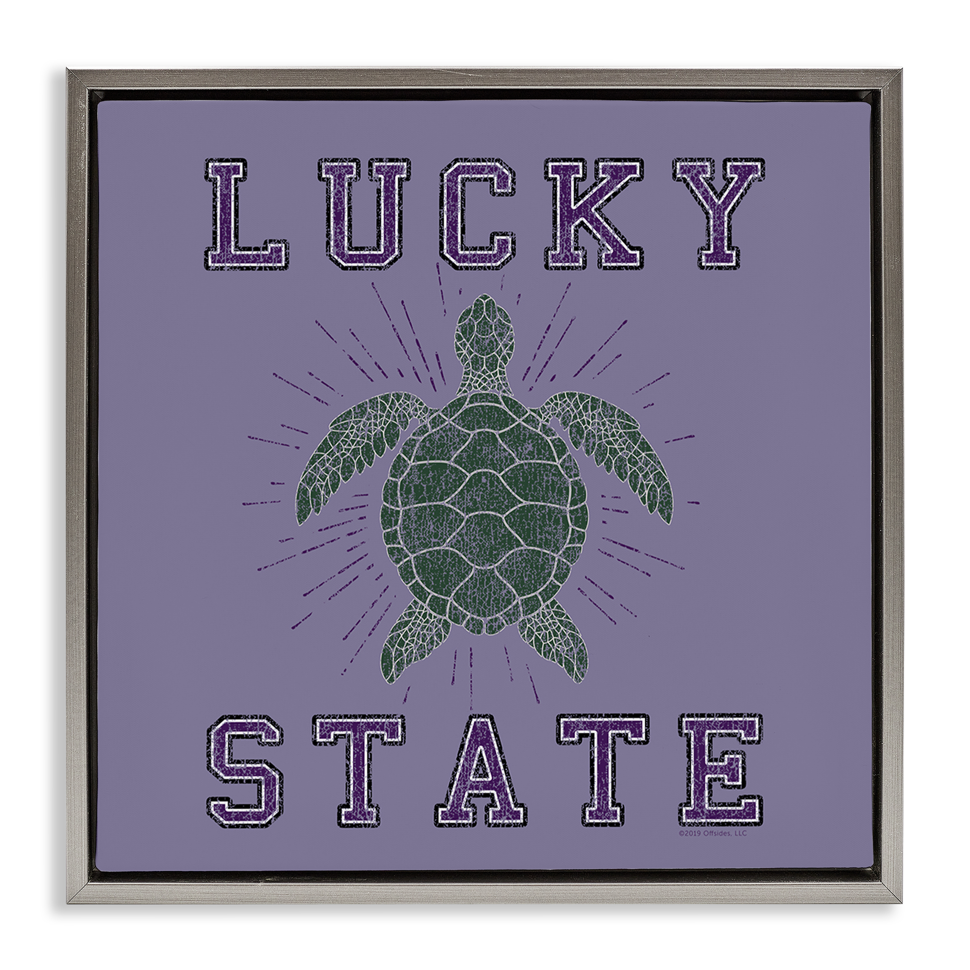 Stupell Industries Lucky Sea Turtle State Animals Painting Gray Floater Framed Canvas Art Print Wall Art, 25 x 25