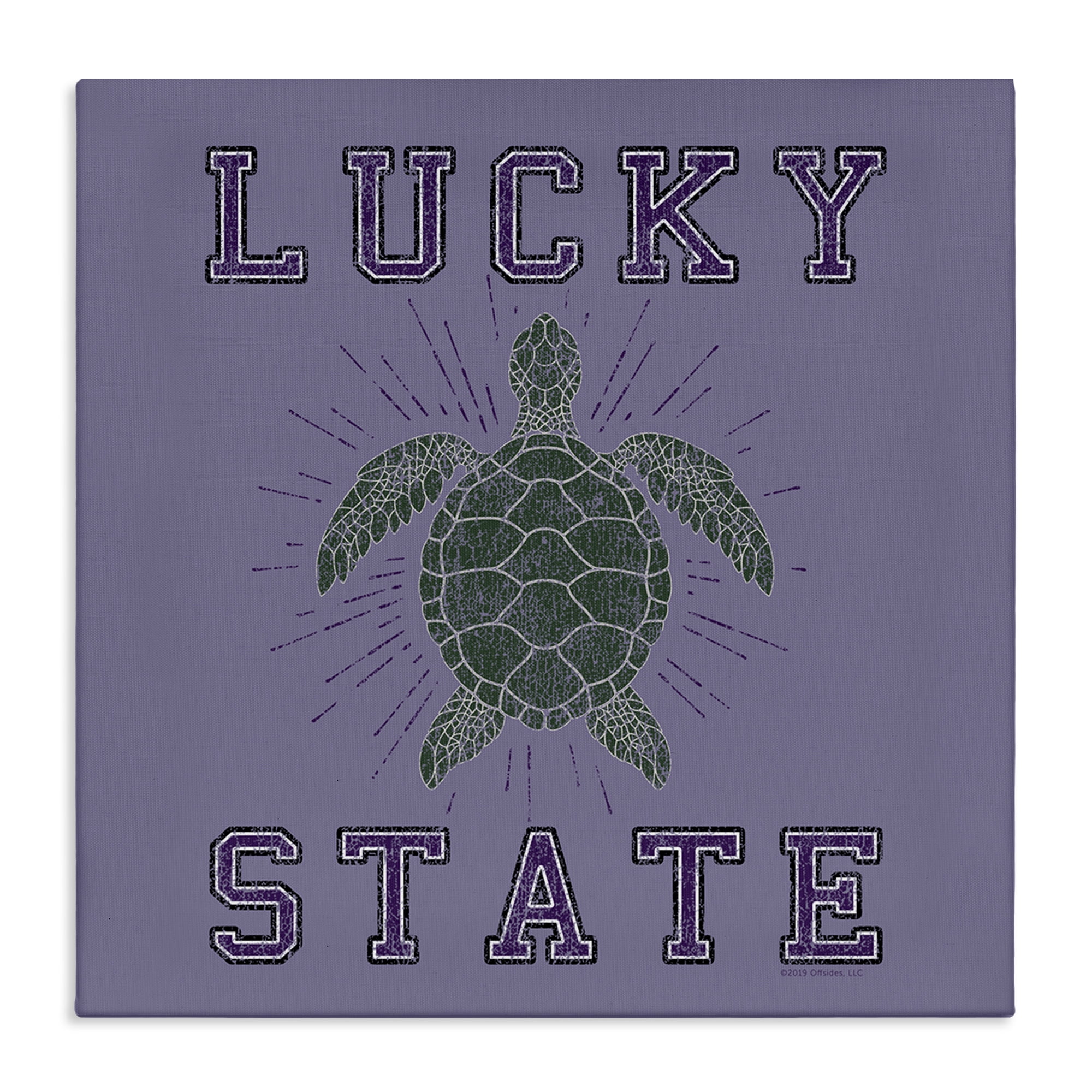 Stupell Industries Lucky Sea Turtle State Animals Painting Wrapped Canvas Art Print Wall Art, 36 x 36