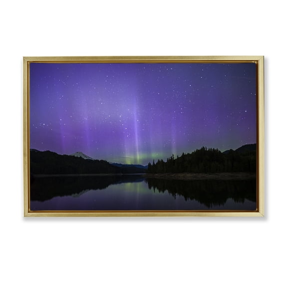 Stupell Industries Luminous Purple Northern Lights Landscape & Nature Photography Gold Floater Framed Canvas Art Print Wall Art, 31 x 21