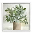 thumbnail image 1 of Stupell Industries Lush Green House Plant Leaves Detailed Painting Painting White Framed Art Print Wall Art, Design by Kim Allen, 1 of 8