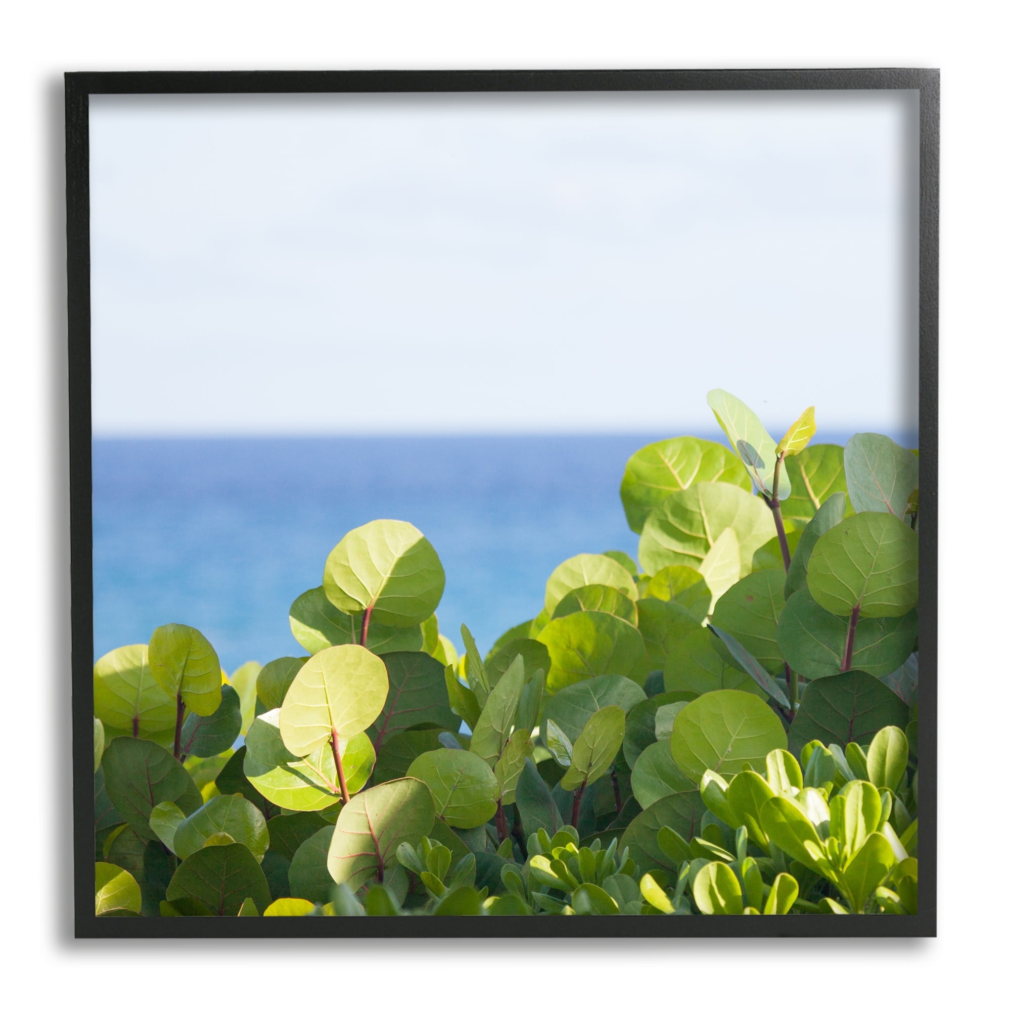 Stupell Industries Lush Greenery Plants Distant Beach Ocean Water Photograph Black Framed Art Print Wall Art, Design by Michael Quackenbush