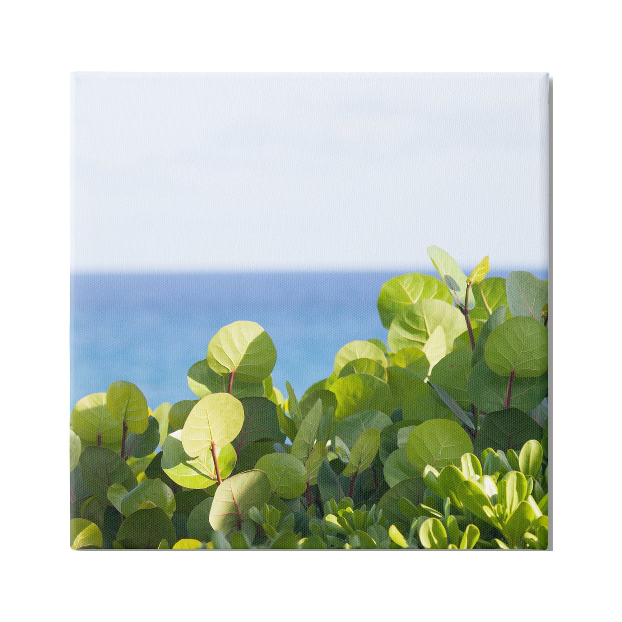 Stupell Industries Lush Greenery Plants Distant Beach Ocean Water Photograph Gallery Wrapped Canvas Print Wall Art, Design by Michael Quackenbush