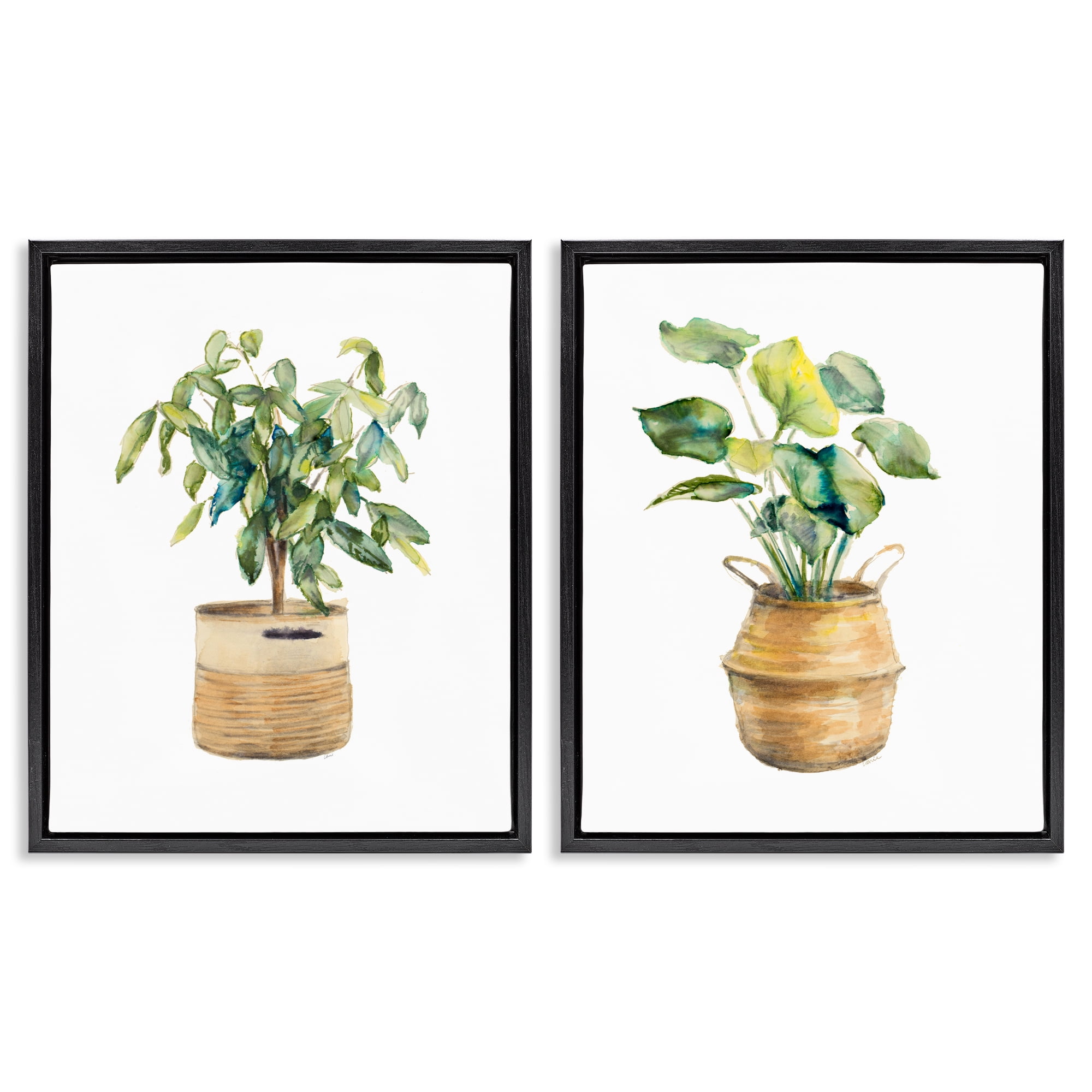 Stupell Industries Lush Houseplants in Wicker Pots Plants & Flowers Painting Black Floater Framed Canvas Art Print Wall Art, 17 x 21, Set of 2