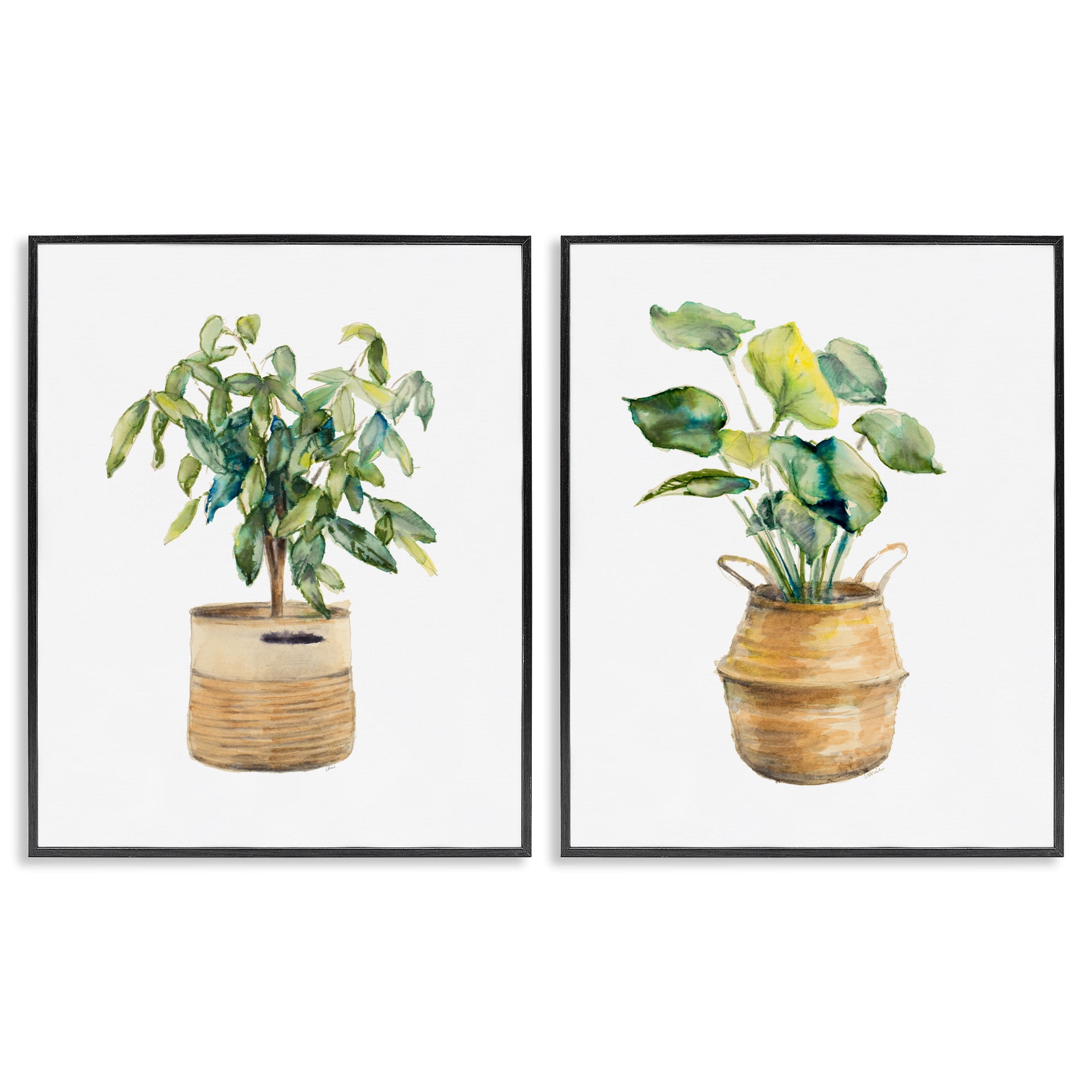 Stupell Industries Lush Houseplants in Wicker Pots Plants & Flowers Painting Black Framed Art Print Wall Art, 11 x 14, Set of 2