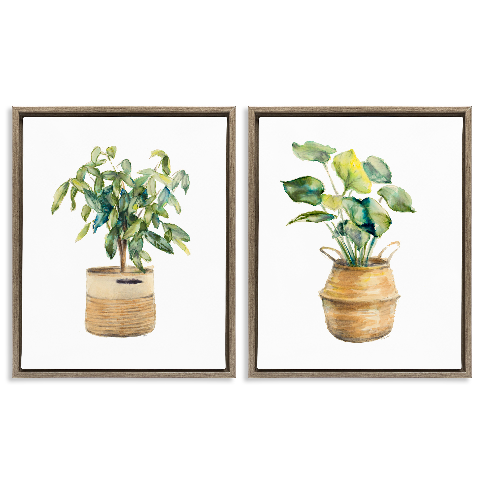 Stupell Industries Lush Houseplants in Wicker Pots Plants & Flowers Painting Brown Floater Framed Canvas Art Print Wall Art, 17 x 21, Set of 2