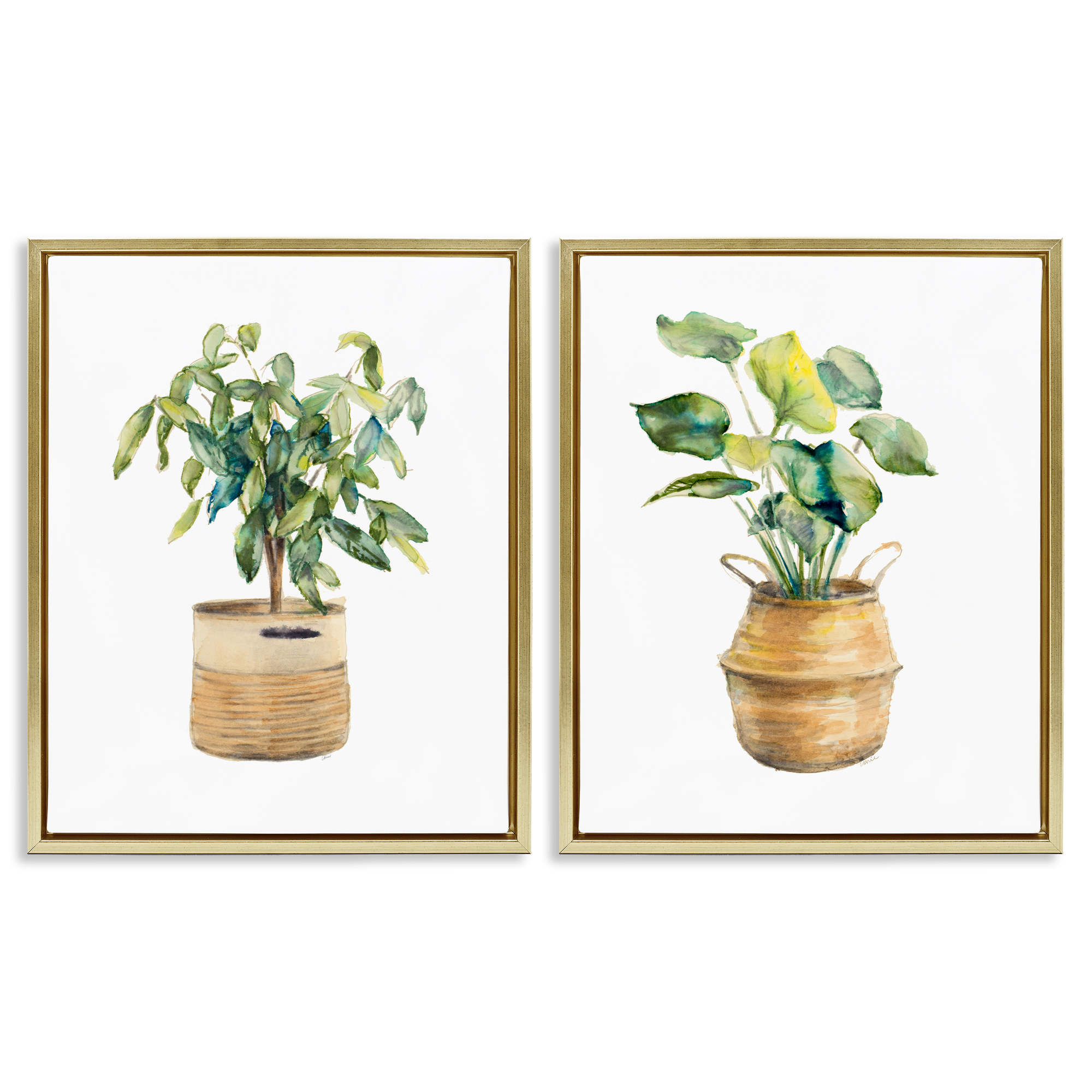 Stupell Industries Lush Houseplants in Wicker Pots Plants & Flowers Painting Gold Floater Framed Canvas Art Print Wall Art, 17 x 21, Set of 2