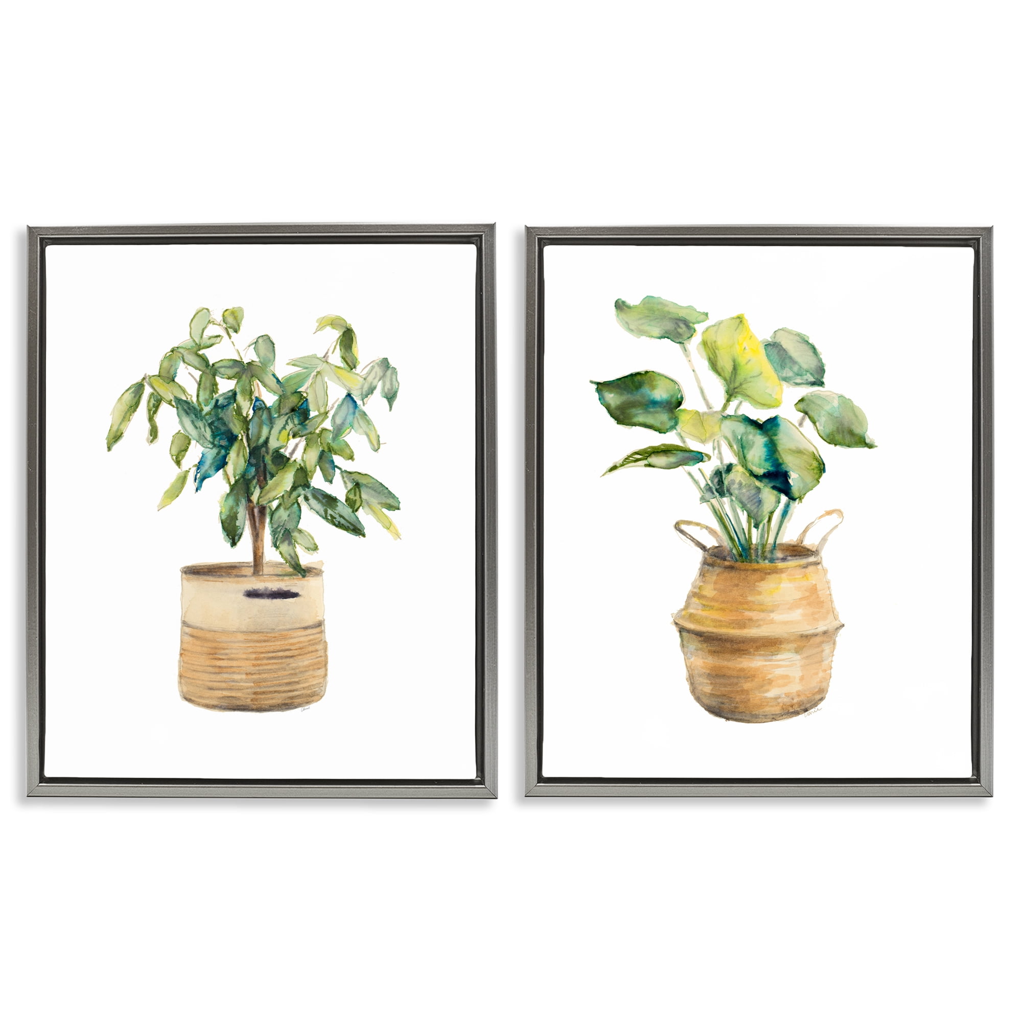 Stupell Industries Lush Houseplants in Wicker Pots Plants & Flowers Painting Gray Floater Framed Canvas Art Print Wall Art, 17 x 21, Set of 2