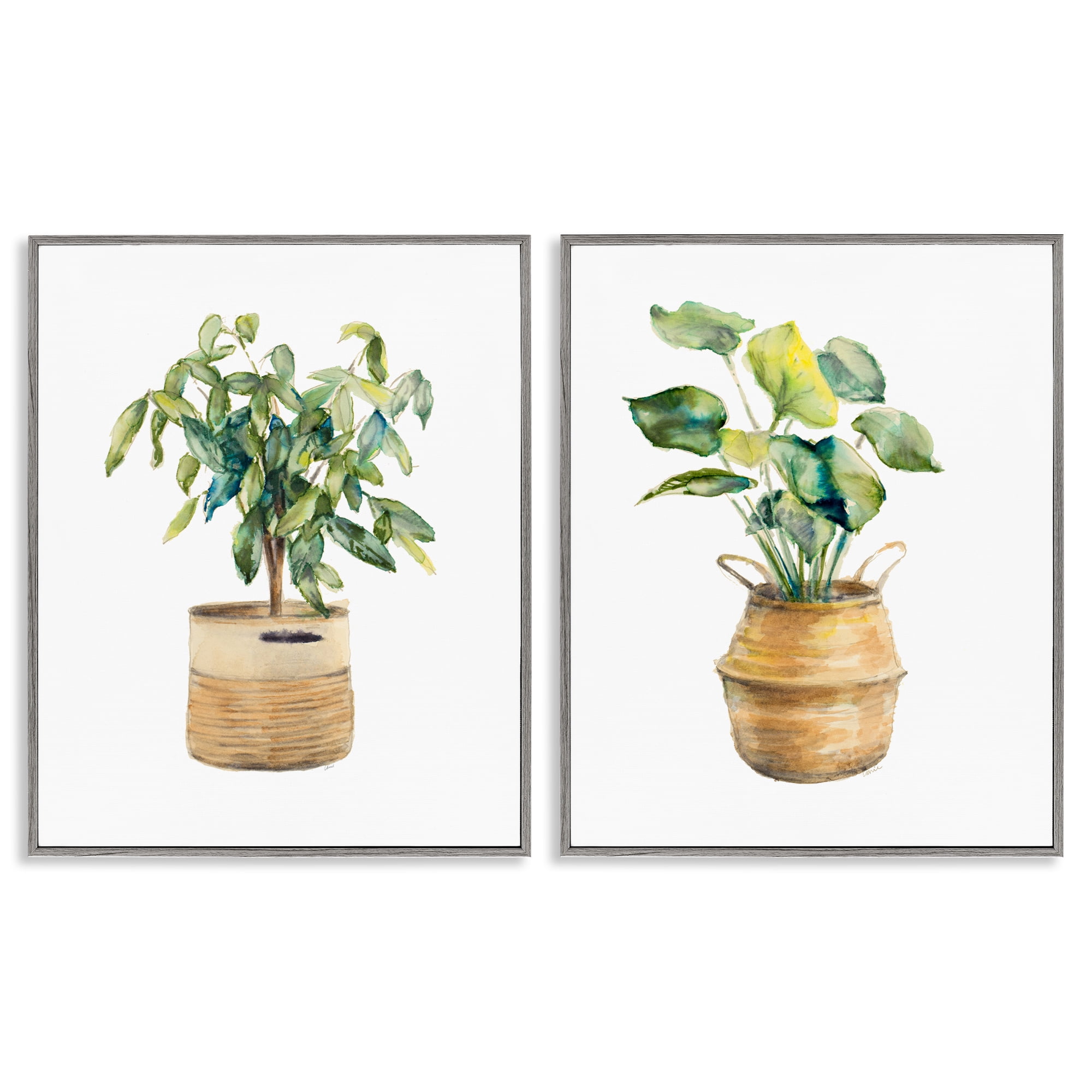 Stupell Industries Lush Houseplants in Wicker Pots Plants & Flowers Painting Gray Framed Art Print Wall Art, 11 x 14, Set of 2