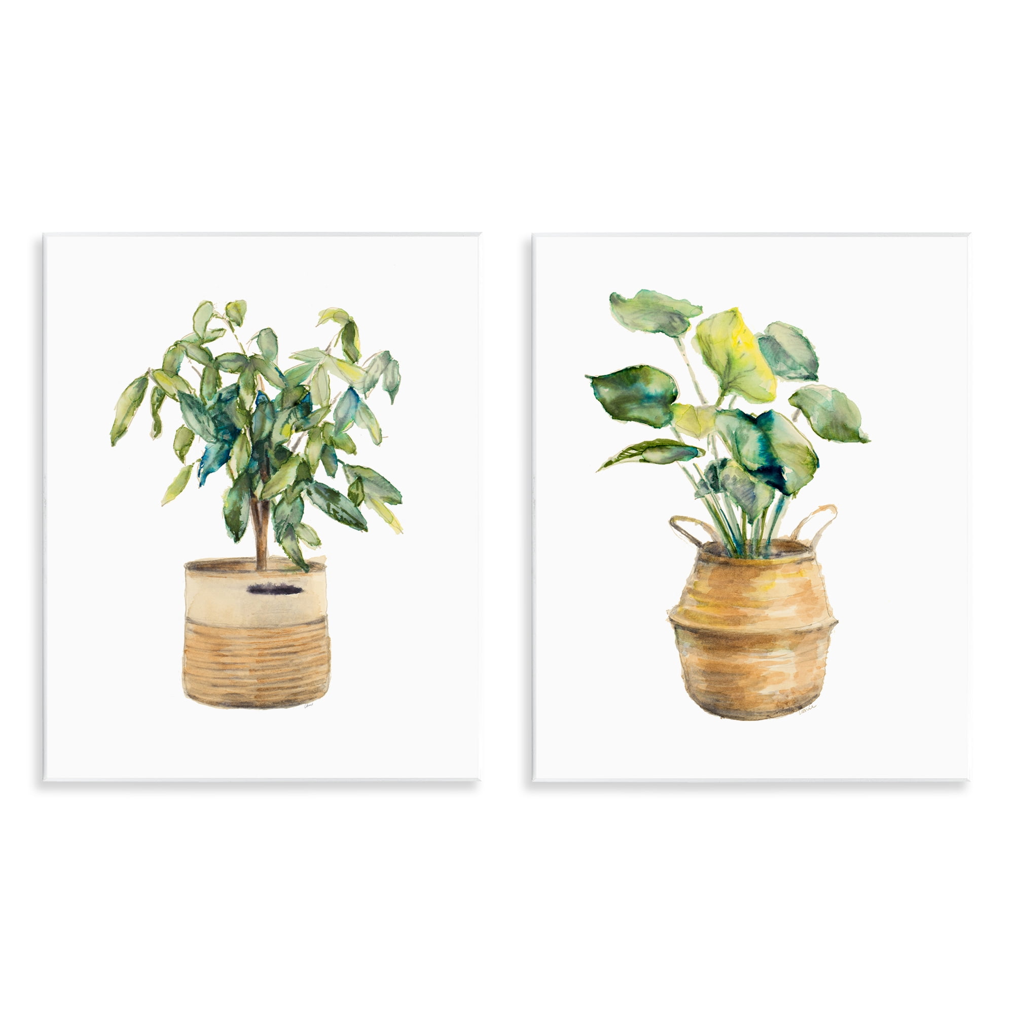 Stupell Industries Lush Houseplants in Wicker Pots Plants & Flowers Painting Unframed Art Print Wall Art, 11 x 14, Set of 2