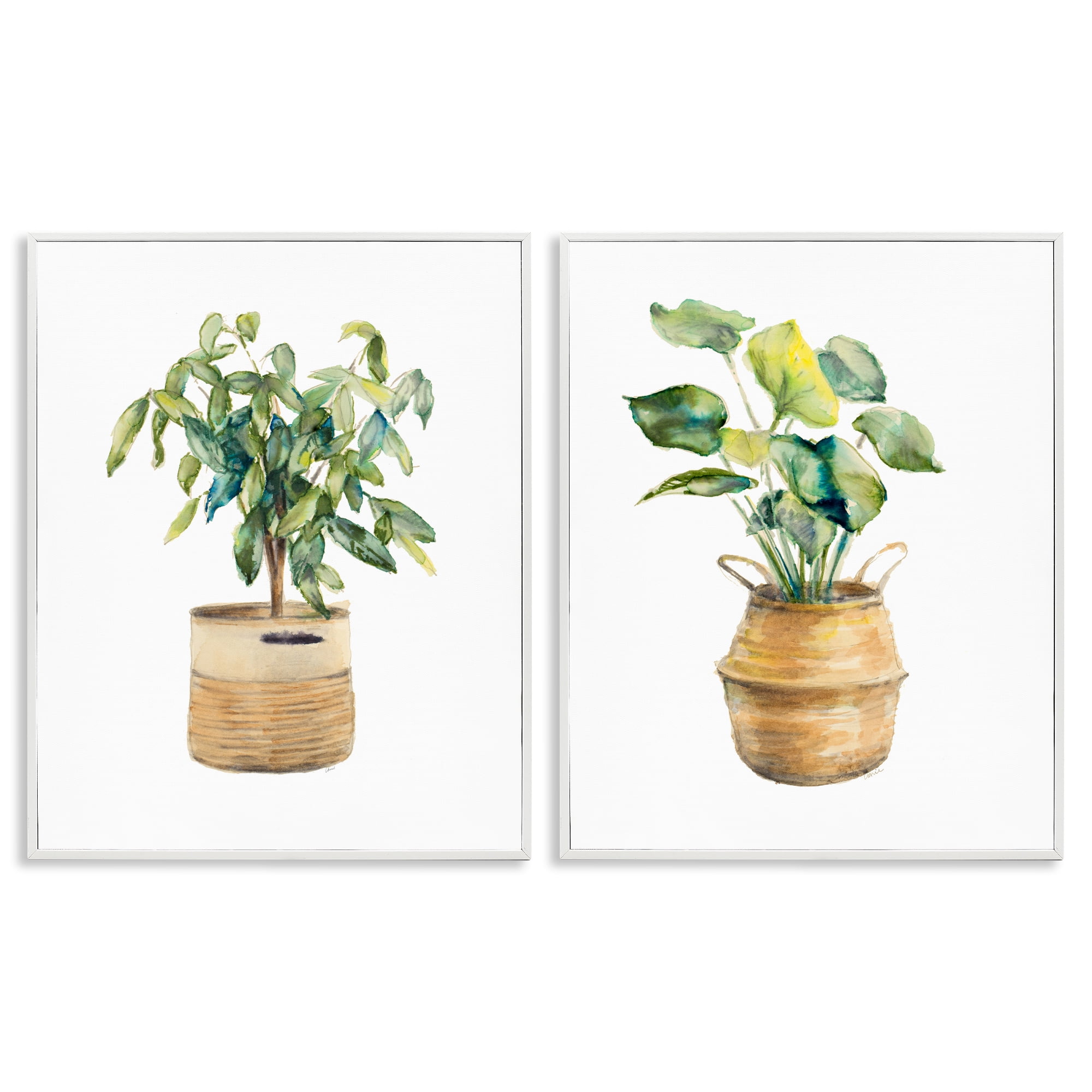 Stupell Industries Lush Houseplants in Wicker Pots Plants & Flowers Painting White Framed Art Print Wall Art, 16 x 20, Set of 2