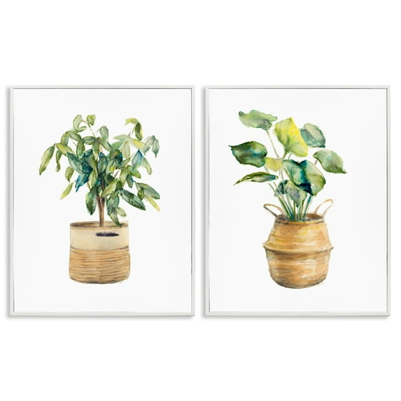 Stupell Industries Lush Houseplants in Wicker Pots Plants & Flowers Painting White Framed Art Print Wall Art, 24 x 30, Set of 2