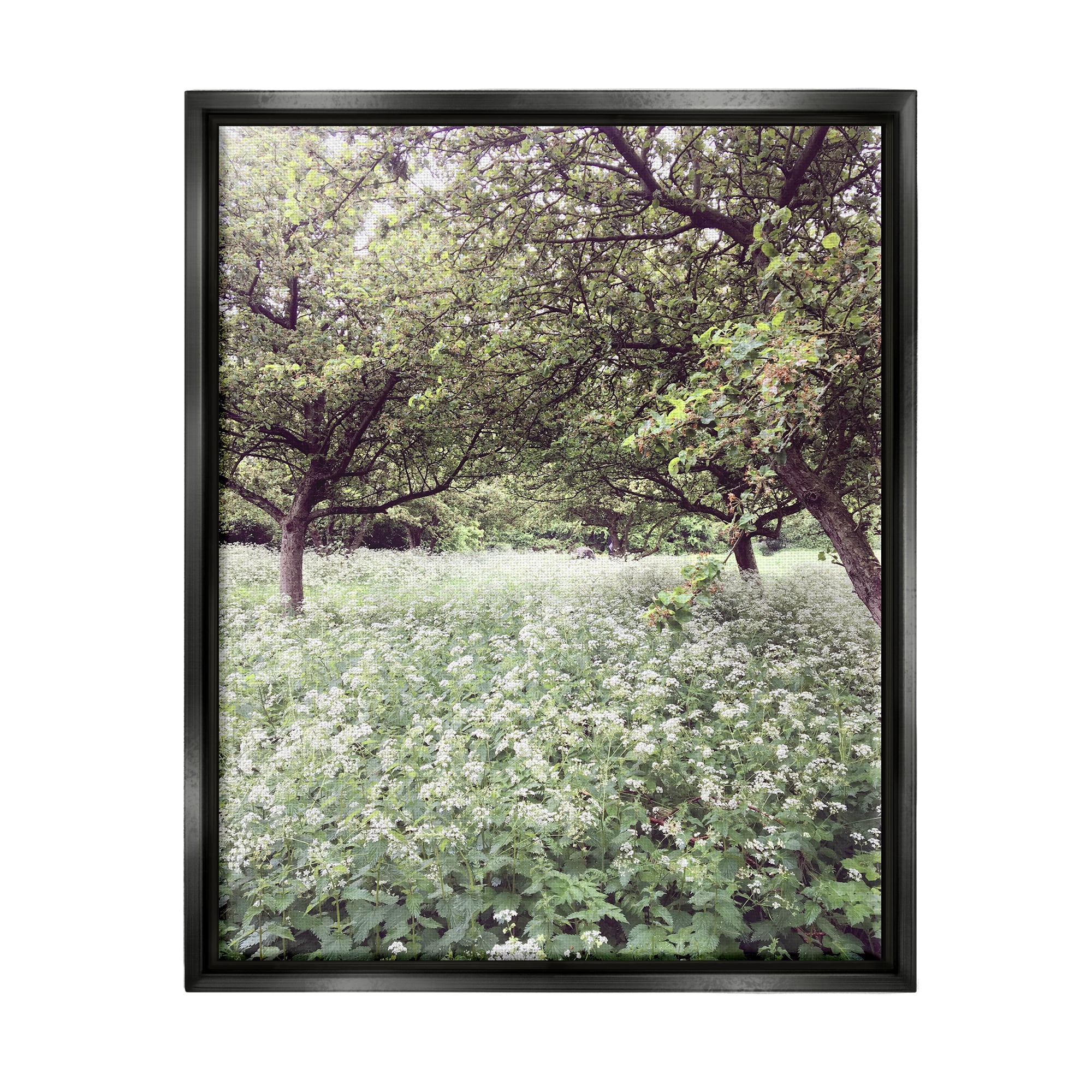 Stupell Industries Lush Meadow Trees Landscape Photography Black Floater Framed Canvas Art Print Wall Art, 17 x 21