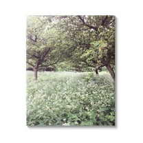 Stupell Industries Lush Meadow Trees Landscape Photography Gallery Wrapped Canvas Art Print Wall Art, 16 x 20