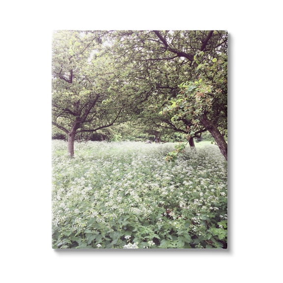 Stupell Industries Lush Meadow Trees Landscape Photography Gallery Wrapped Canvas Art Print Wall Art, 16 x 20