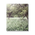 thumbnail image 1 of Stupell Industries Lush Meadow Trees Landscape Photography Gallery Wrapped Canvas Art Print Wall Art, 24 x 30, 1 of 8