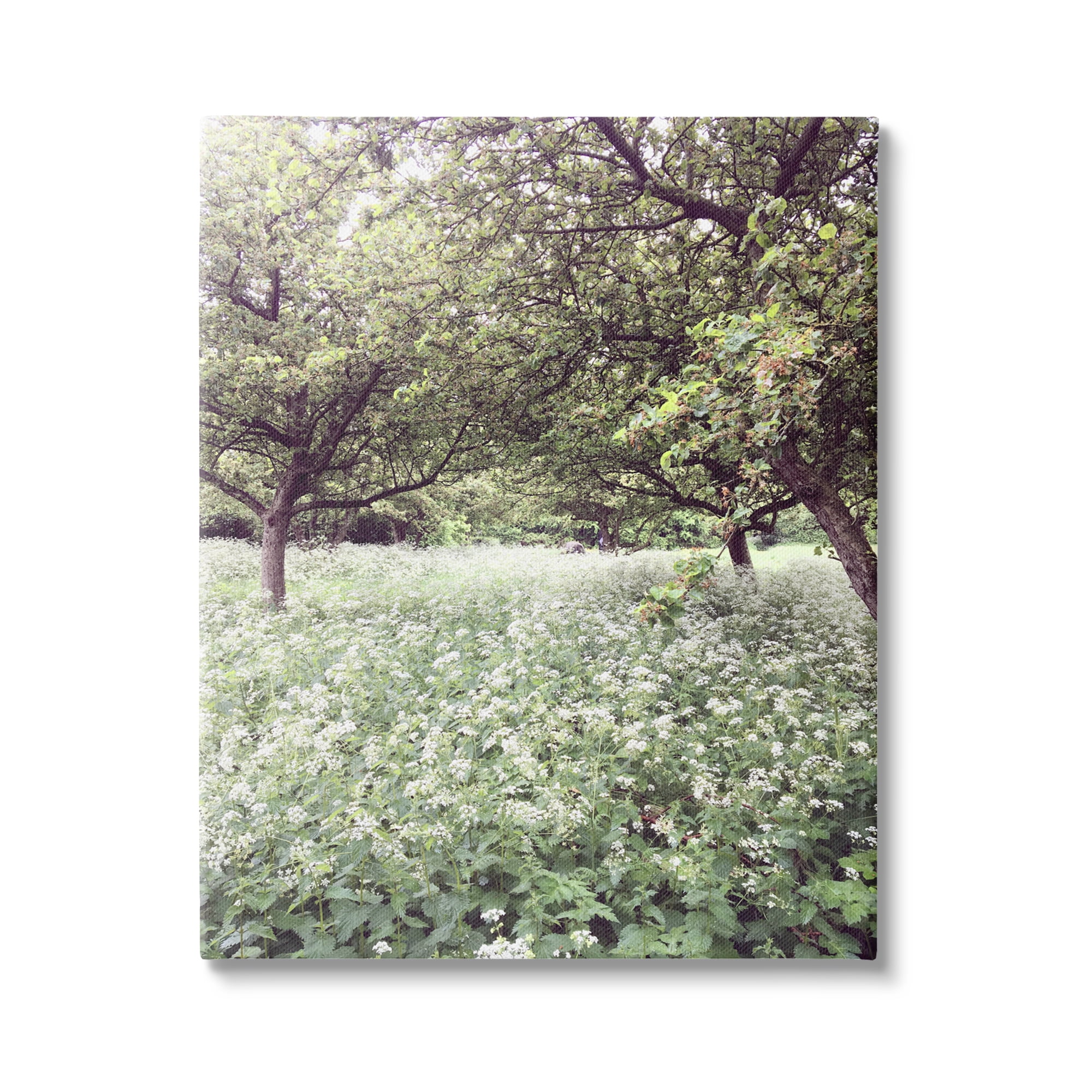 Stupell Industries Lush Meadow Trees Landscape Photography Gallery Wrapped Canvas Art Print Wall Art, 30 x 40
