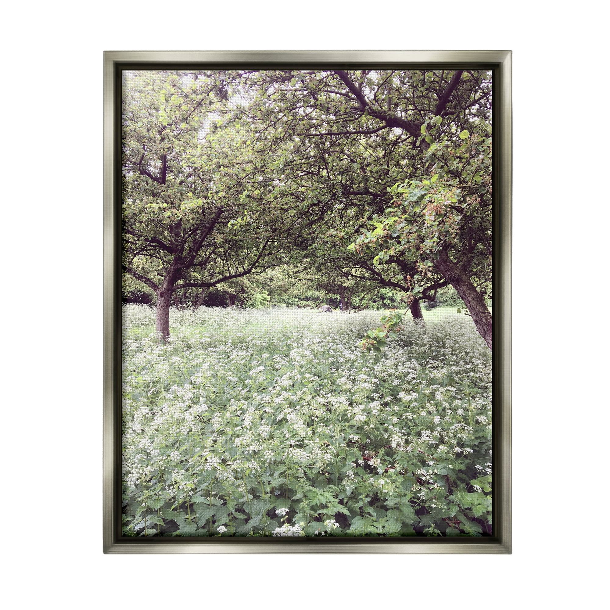 Stupell Industries Lush Meadow Trees Landscape Photography Gray Floater Framed Canvas Art Print Wall Art, 25 x 31