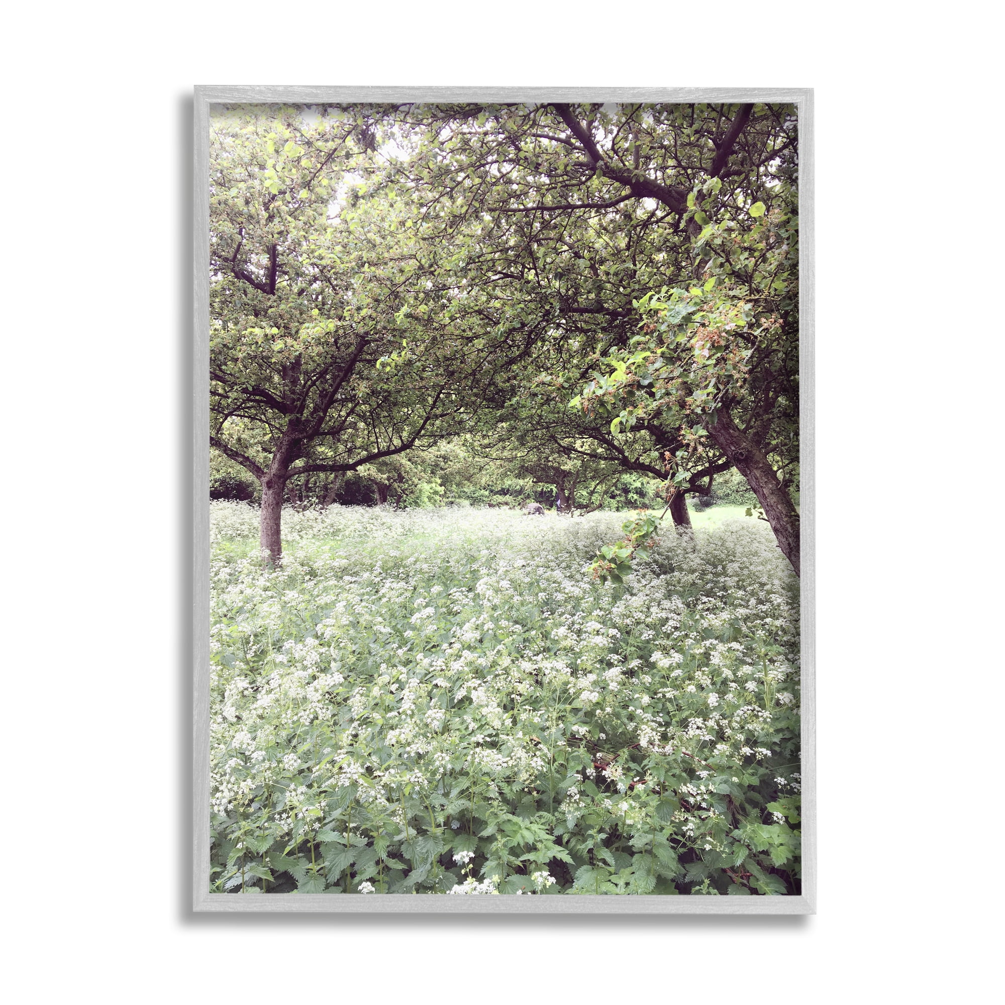 Stupell Industries Lush Meadow Trees Landscape Photography Gray Framed Art Print Wall Art, 16 x 20