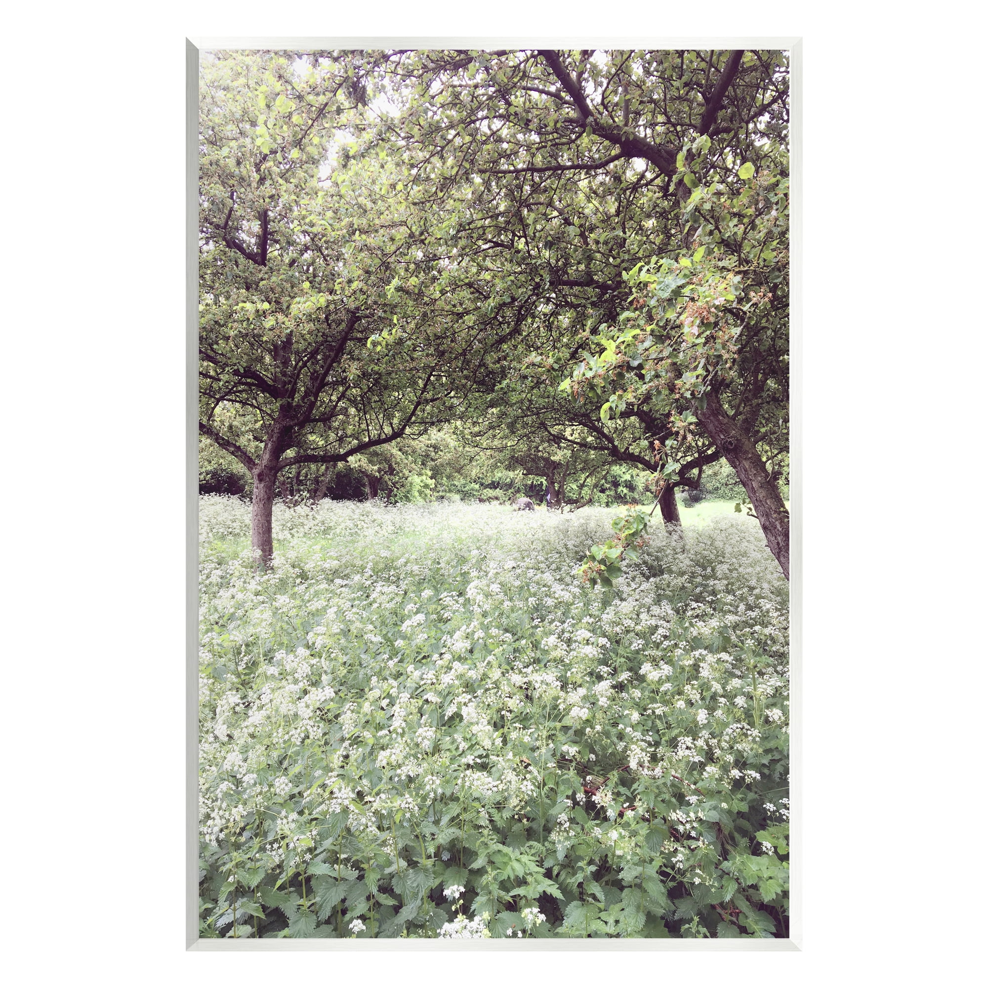 Stupell Industries Lush Meadow Trees Landscape Photography Unframed Art Print Wall Art, 10 x 15