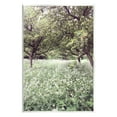 thumbnail image 1 of Stupell Industries Lush Meadow Trees Landscape Photography Unframed Art Print Wall Art, 13 x 19, 1 of 7