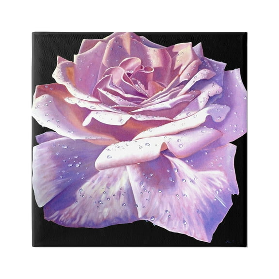 Stupell Industries Lush Pink Rose Petals Flower Water Droplets Painting Gallery Wrapped Canvas Print Wall Art, Design by Alan Weston