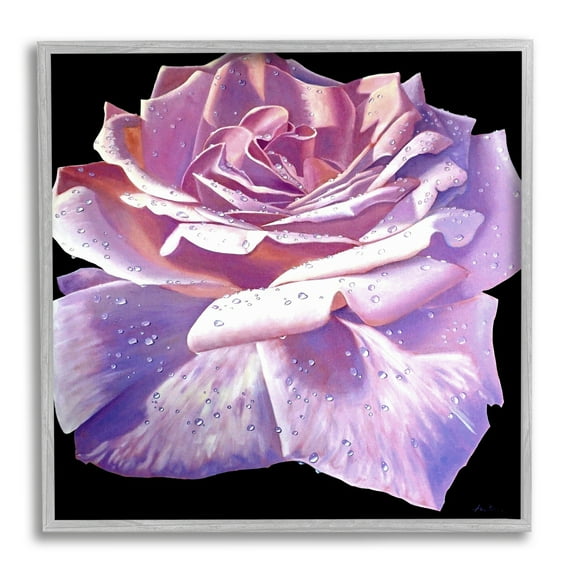 Stupell Industries Lush Pink Rose Petals Flower Water Droplets Painting Gray Framed Art Print Wall Art, Design by Alan Weston