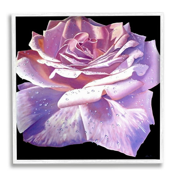 Stupell Industries Lush Pink Rose Petals Flower Water Droplets Painting White Framed Art Print Wall Art, Design by Alan Weston