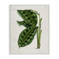thumbnail image 1 of Stupell Industries Cottage Canvas Art, 16 x 20, by Tina Higgins Designs Inc., 1 of 8
