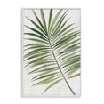 thumbnail image 1 of Stupell Industries Lush Tropical Breeze White Framed Giclee Art design by Hannah Dawson, 24 x 16, 1 of 8