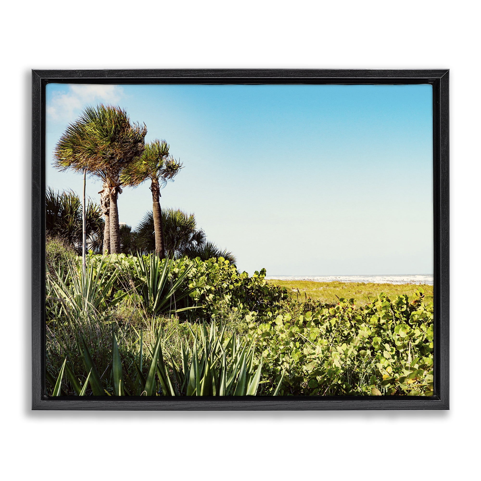 Stupell Industries Lush Tropical Shoreline Landscape Photography Black Floater Framed Canvas Art Print Wall Art, 31 x 25
