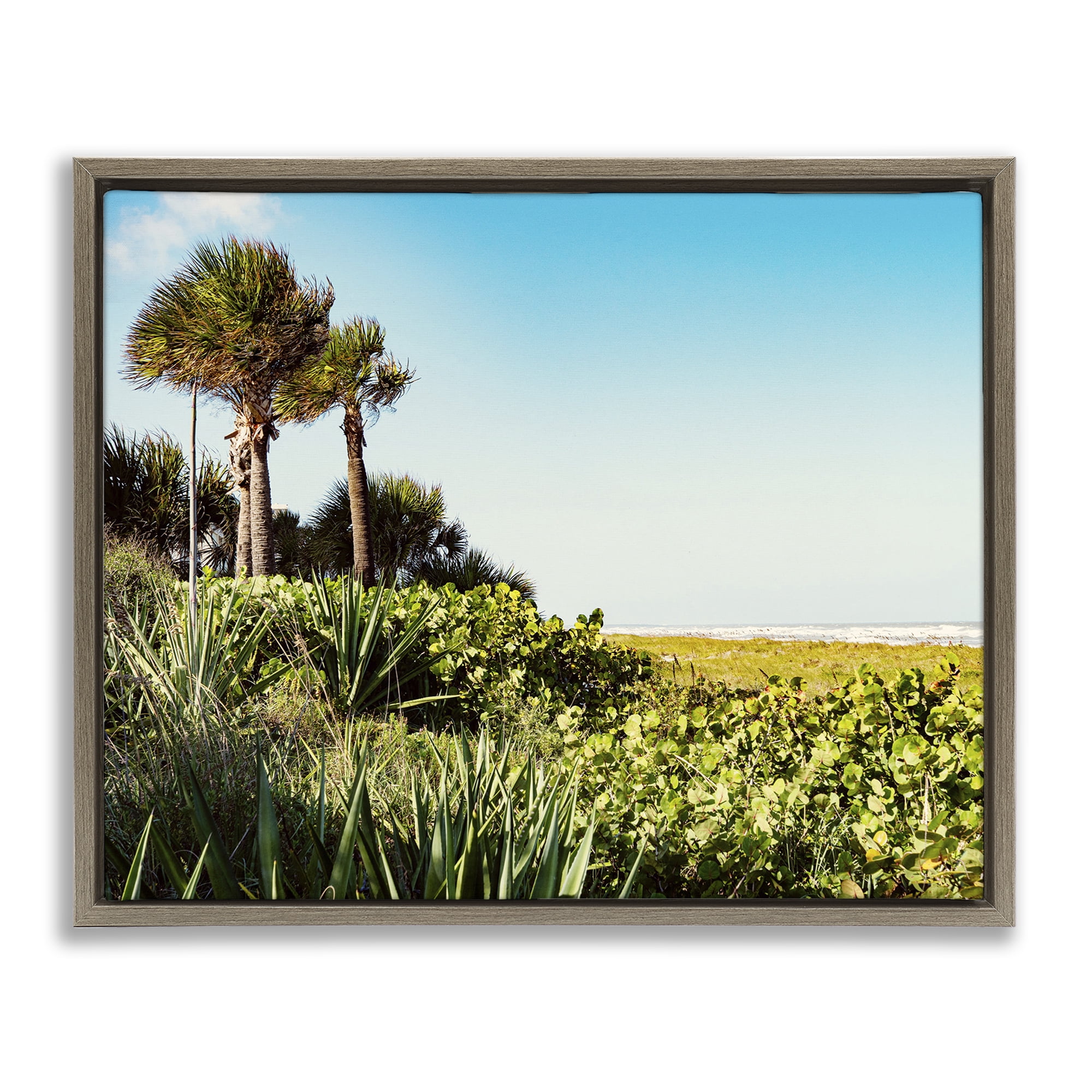 Stupell Industries Lush Tropical Shoreline Landscape Photography Brown Floater Framed Canvas Art Print Wall Art, 31 x 25