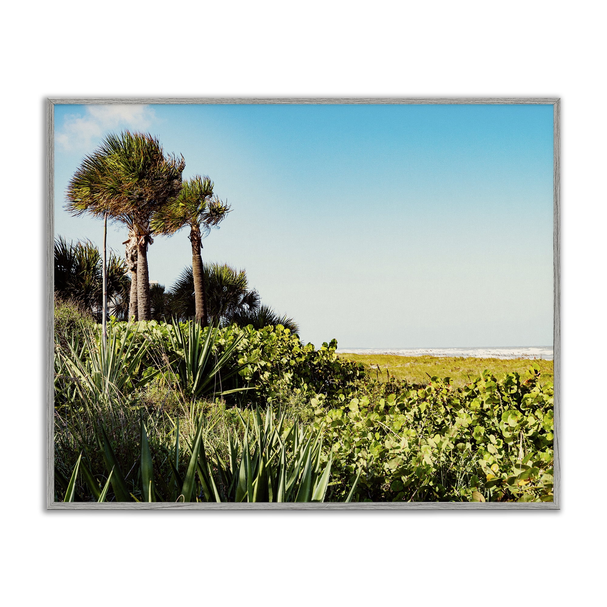 Stupell Industries Lush Tropical Shoreline Landscape Photography Gray Framed Art Print Wall Art, 20 x 16