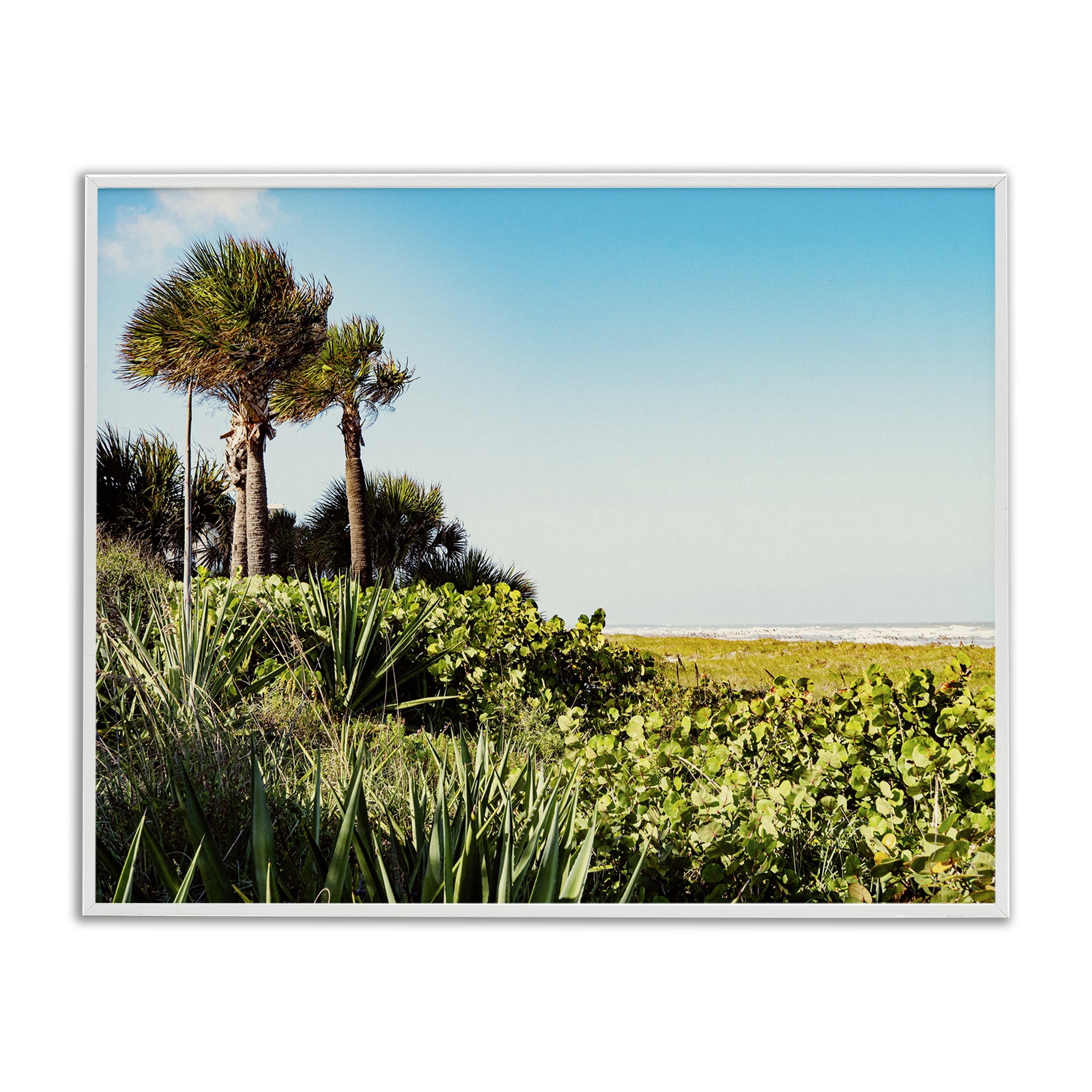 Stupell Industries Lush Tropical Shoreline Landscape Photography White Framed Art Print Wall Art, 20 x 16